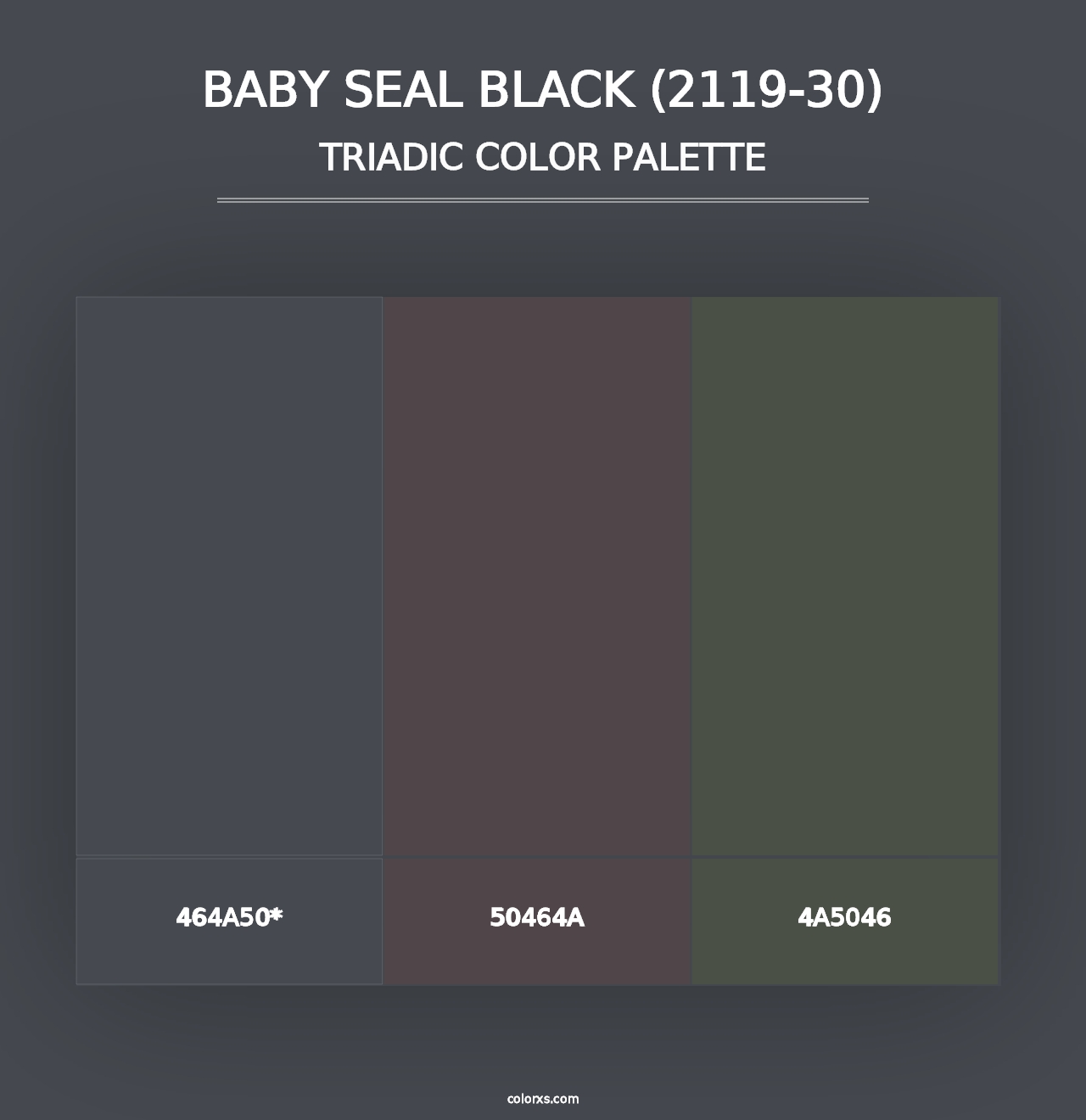 Baby Seal Black (2119-30) - Triadic Color Palette