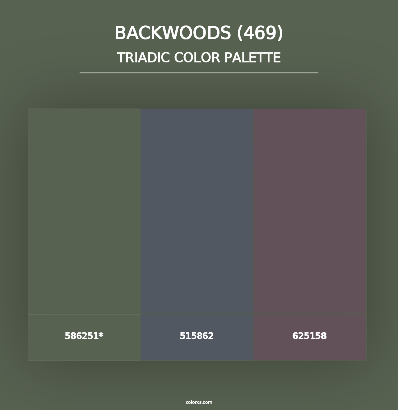 Backwoods (469) - Triadic Color Palette