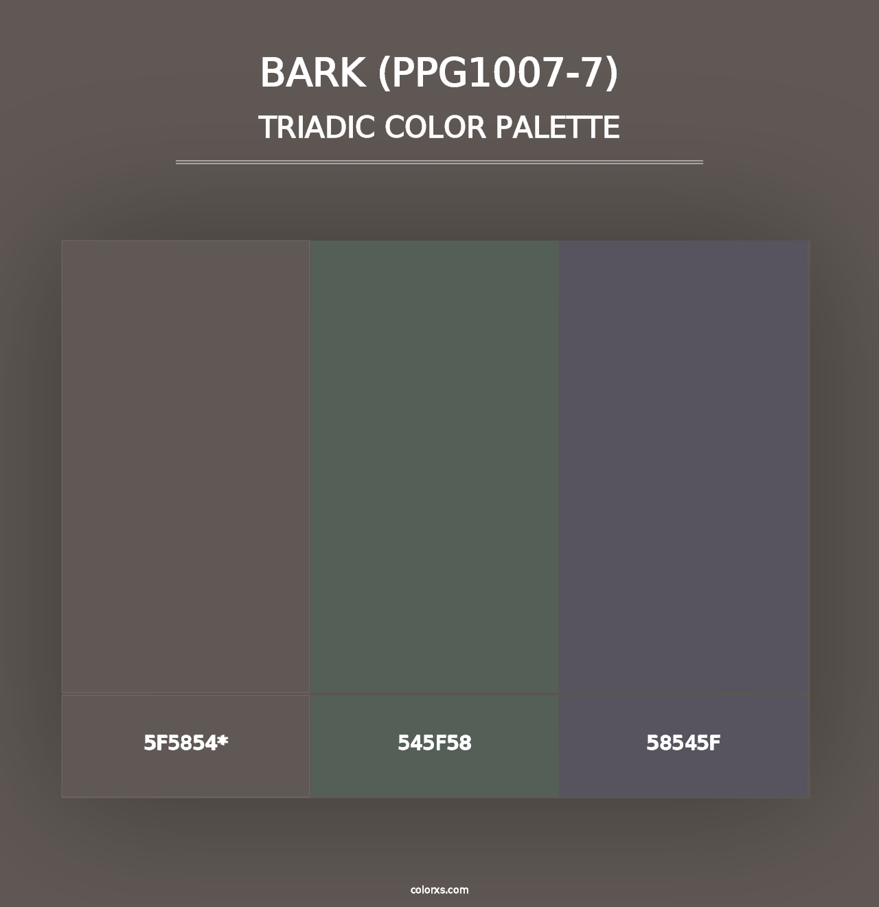 Bark (PPG1007-7) - Triadic Color Palette