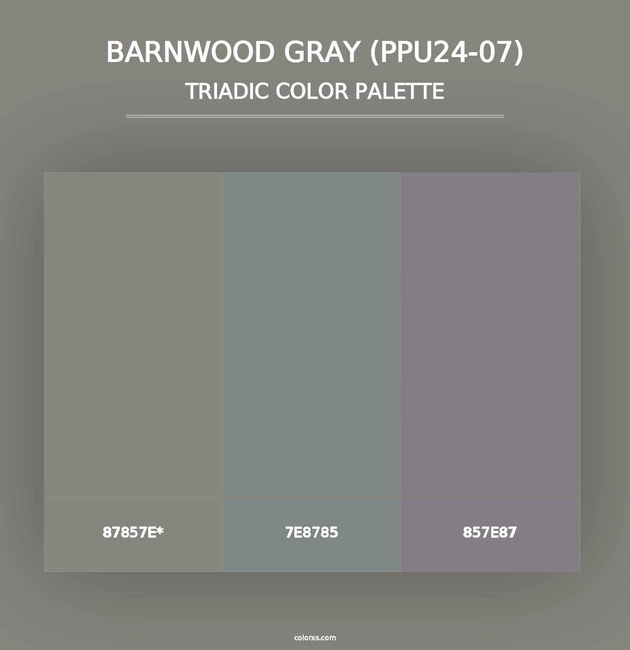 Barnwood Gray (PPU24-07) - Triadic Color Palette