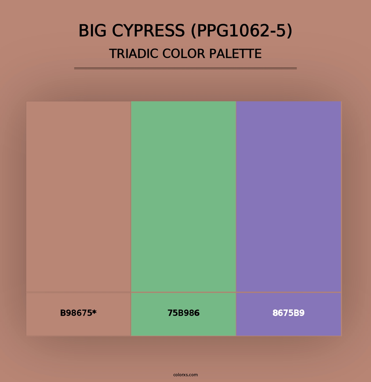 Big Cypress (PPG1062-5) - Triadic Color Palette