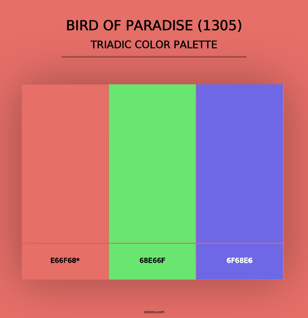 Bird of Paradise (1305) - Triadic Color Palette