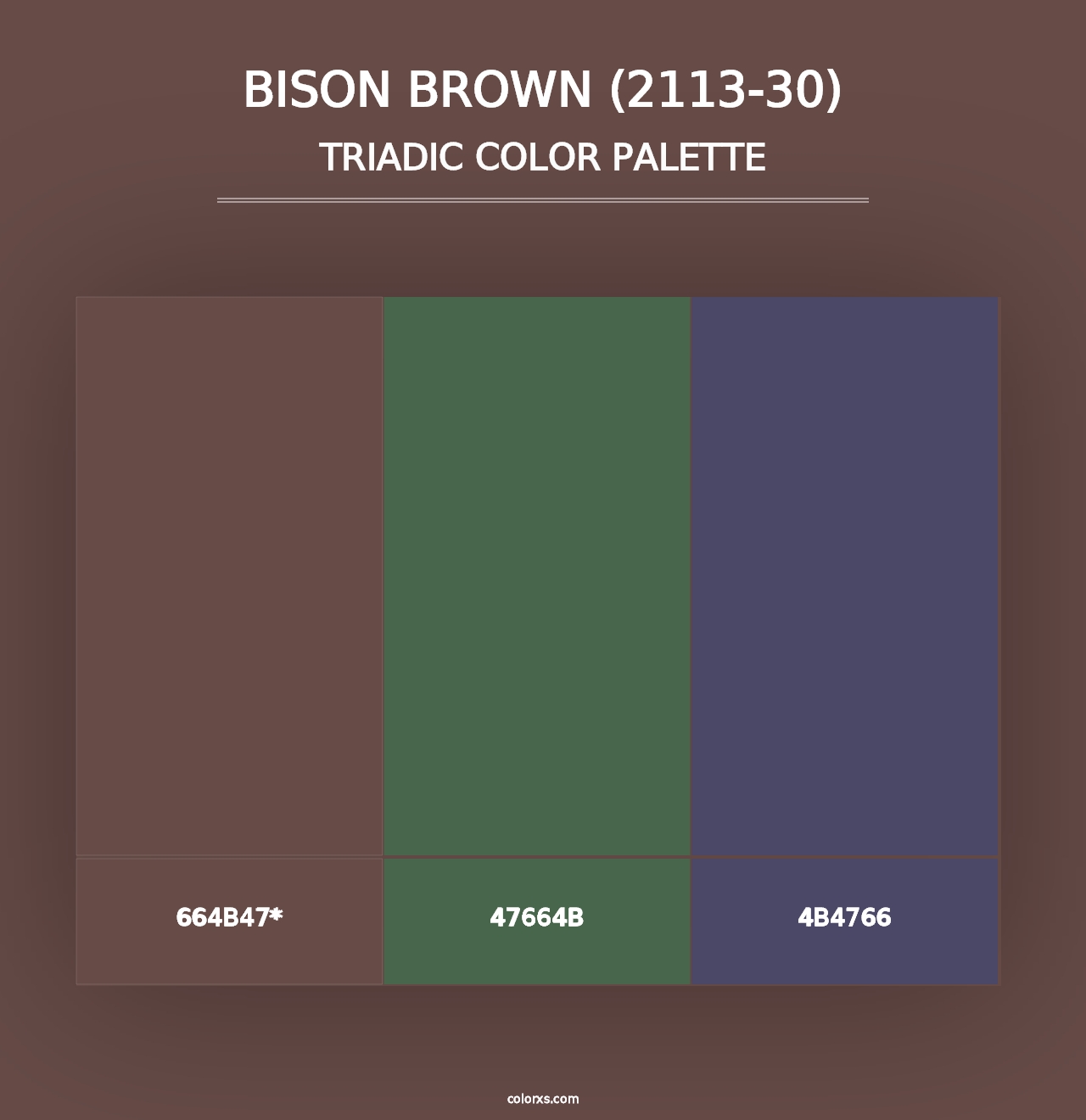 Bison Brown (2113-30) - Triadic Color Palette