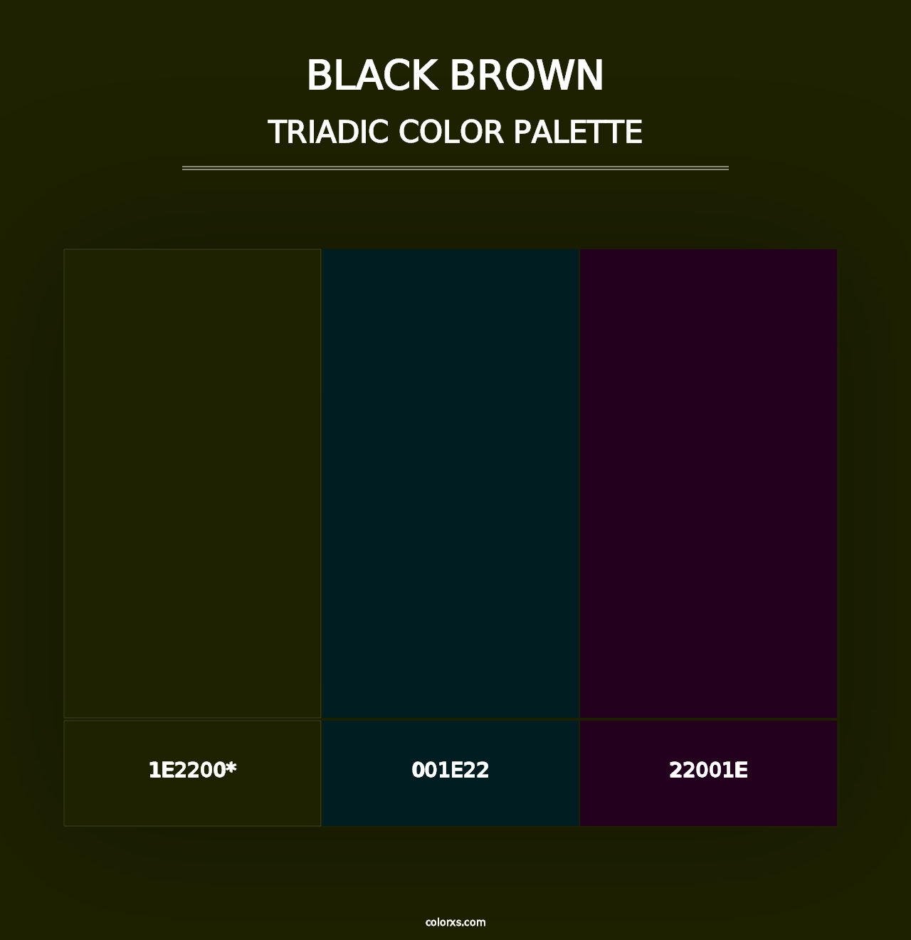 Black Brown - Triadic Color Palette