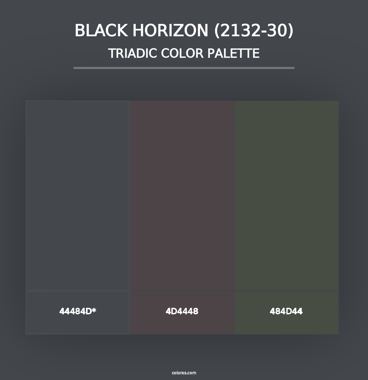 Black Horizon (2132-30) - Triadic Color Palette