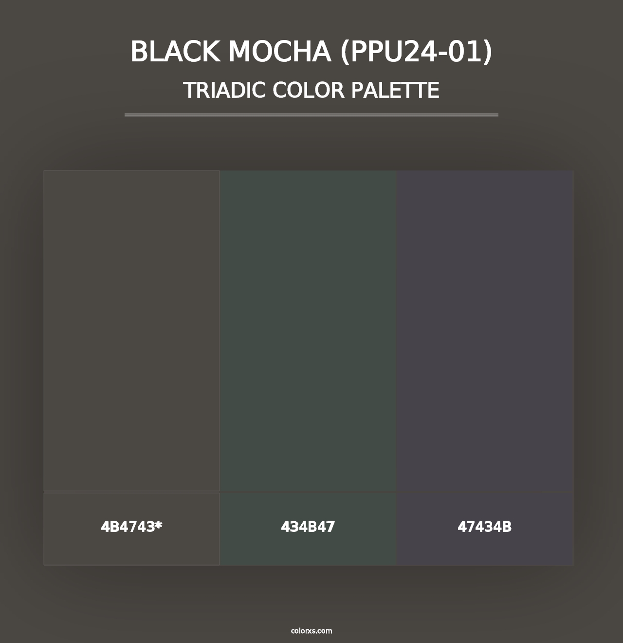 Black Mocha (PPU24-01) - Triadic Color Palette