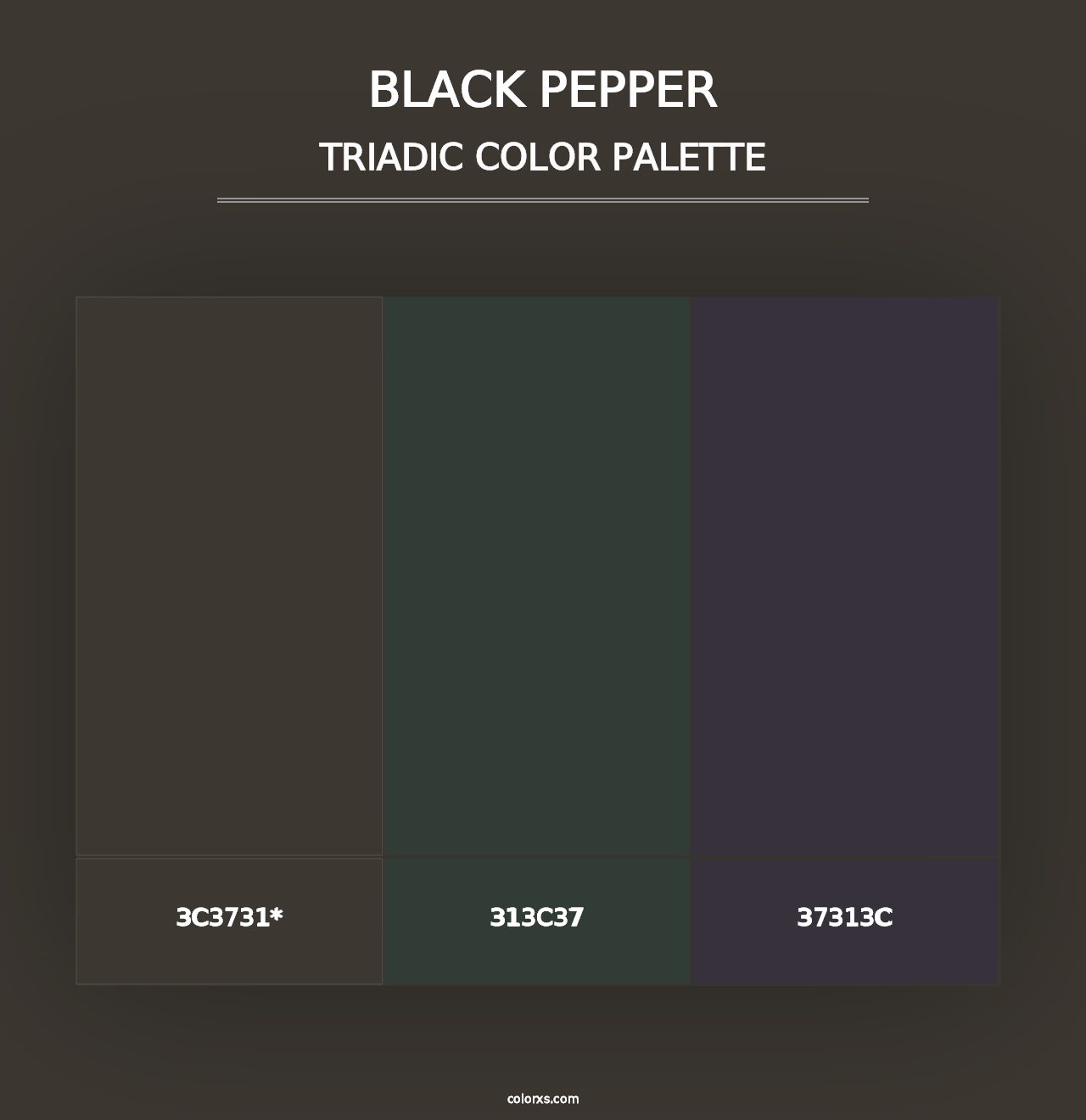 Black Pepper - Triadic Color Palette