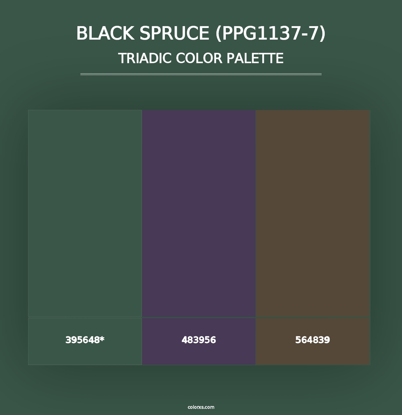 Black Spruce (PPG1137-7) - Triadic Color Palette