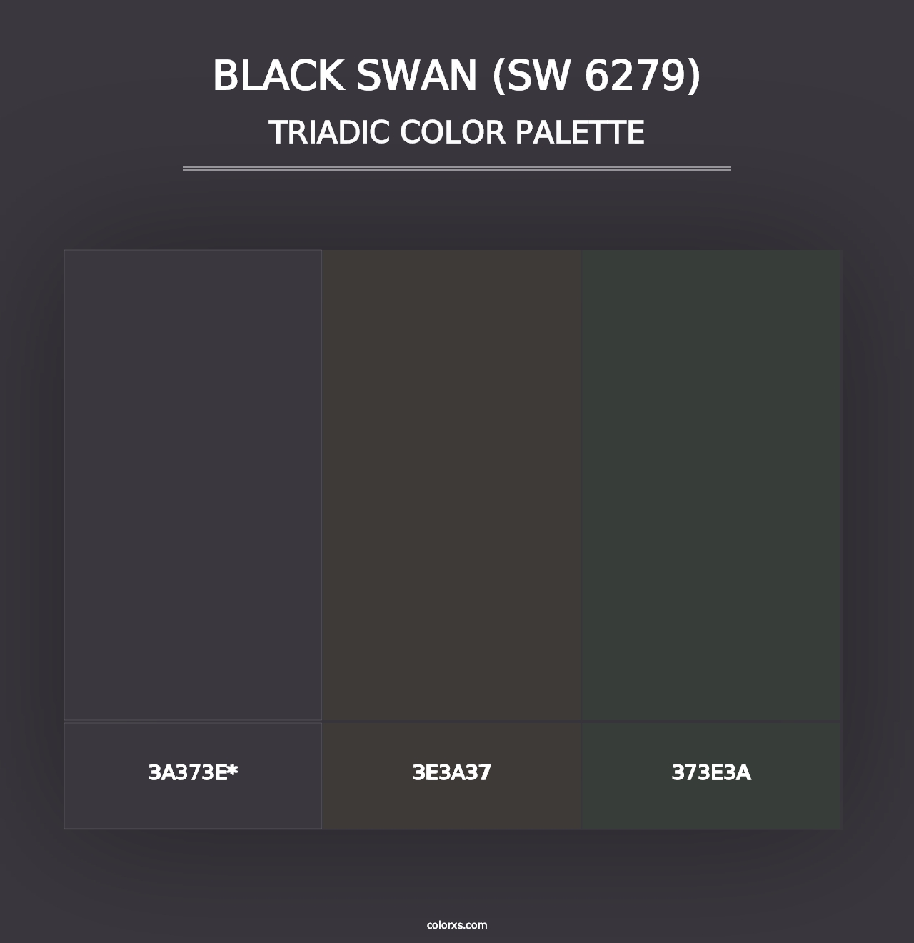 Black Swan (SW 6279) - Triadic Color Palette