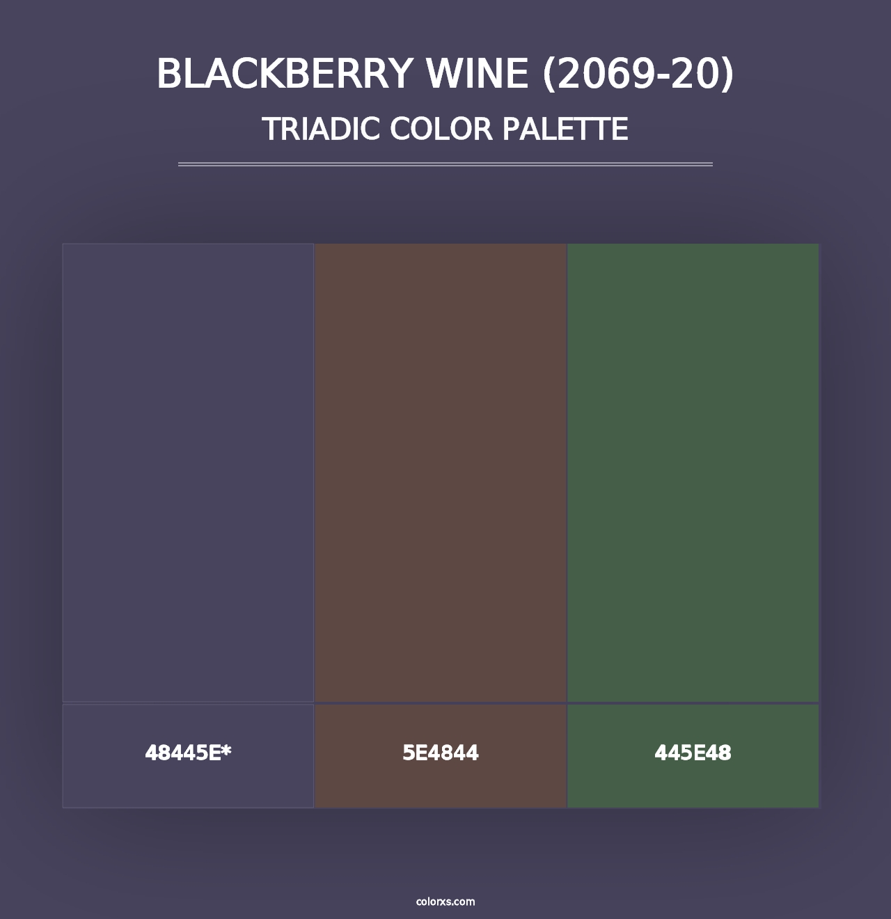 Blackberry Wine (2069-20) - Triadic Color Palette