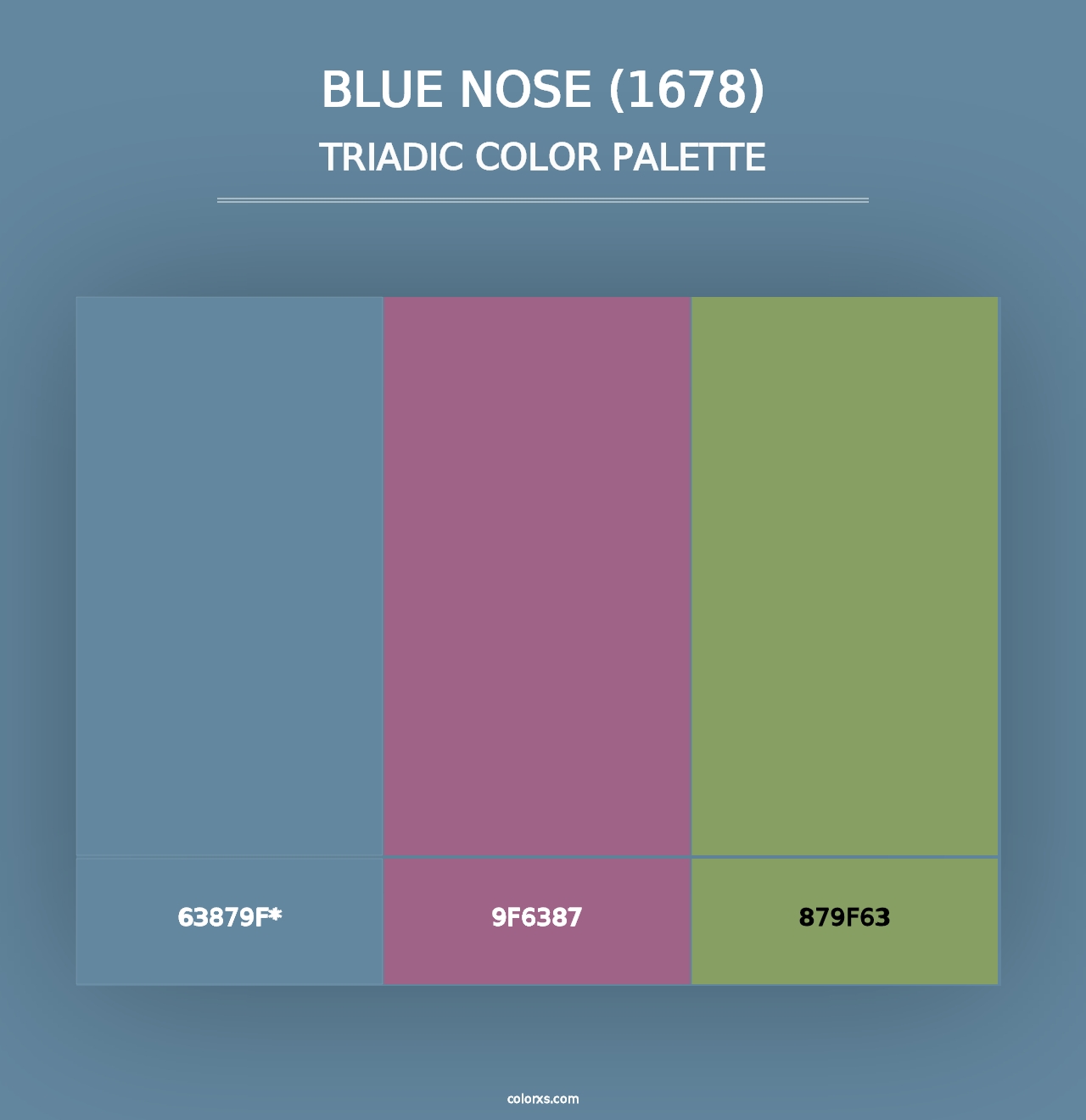 Blue Nose (1678) - Triadic Color Palette