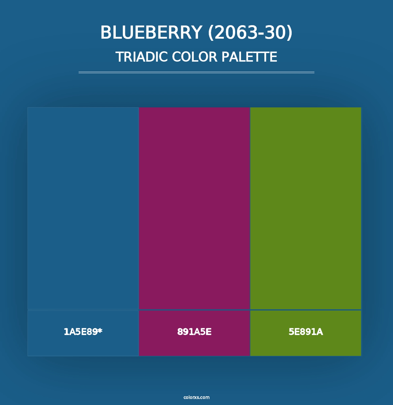 Blueberry (2063-30) - Triadic Color Palette