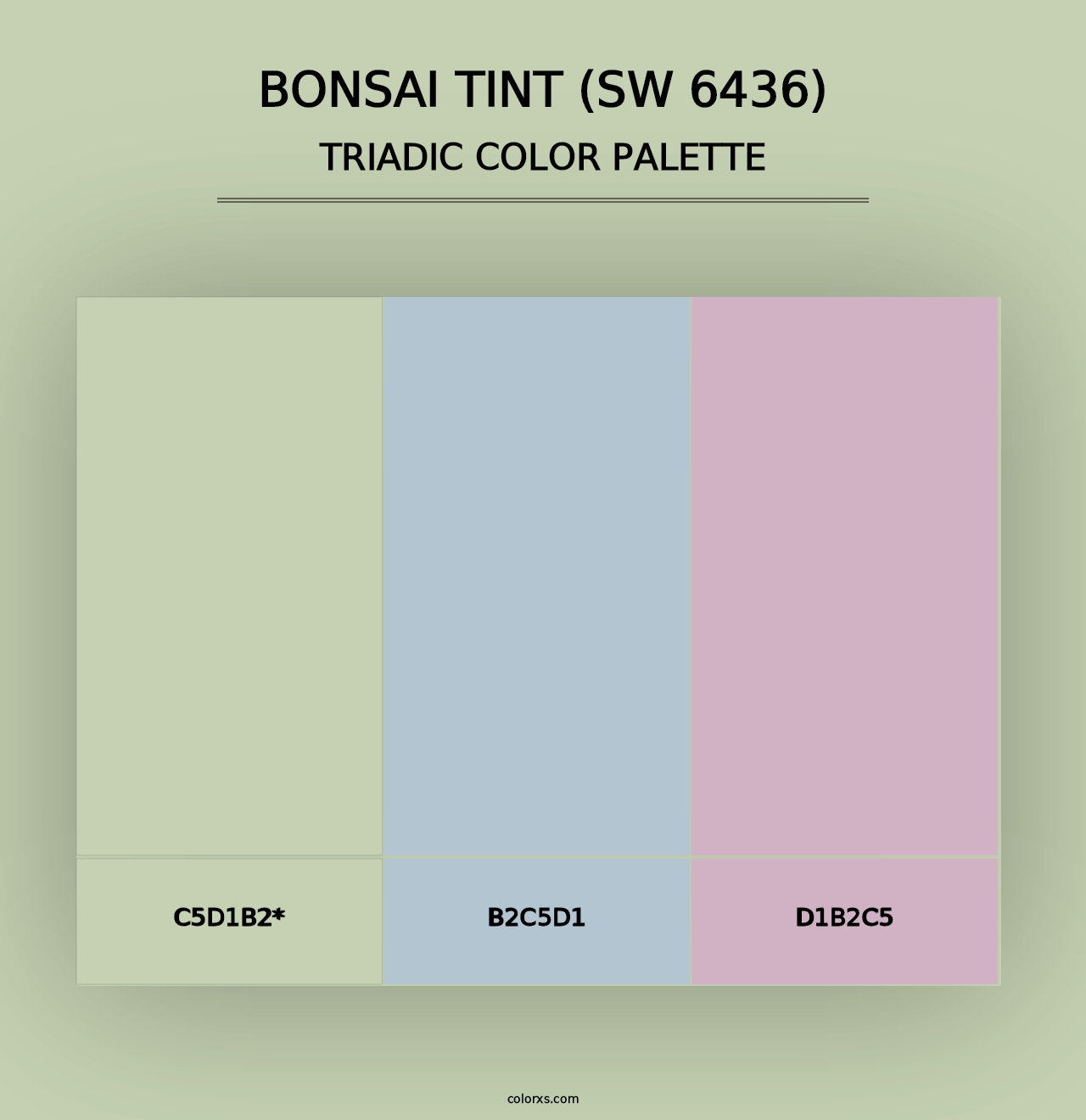 Bonsai Tint (SW 6436) - Triadic Color Palette