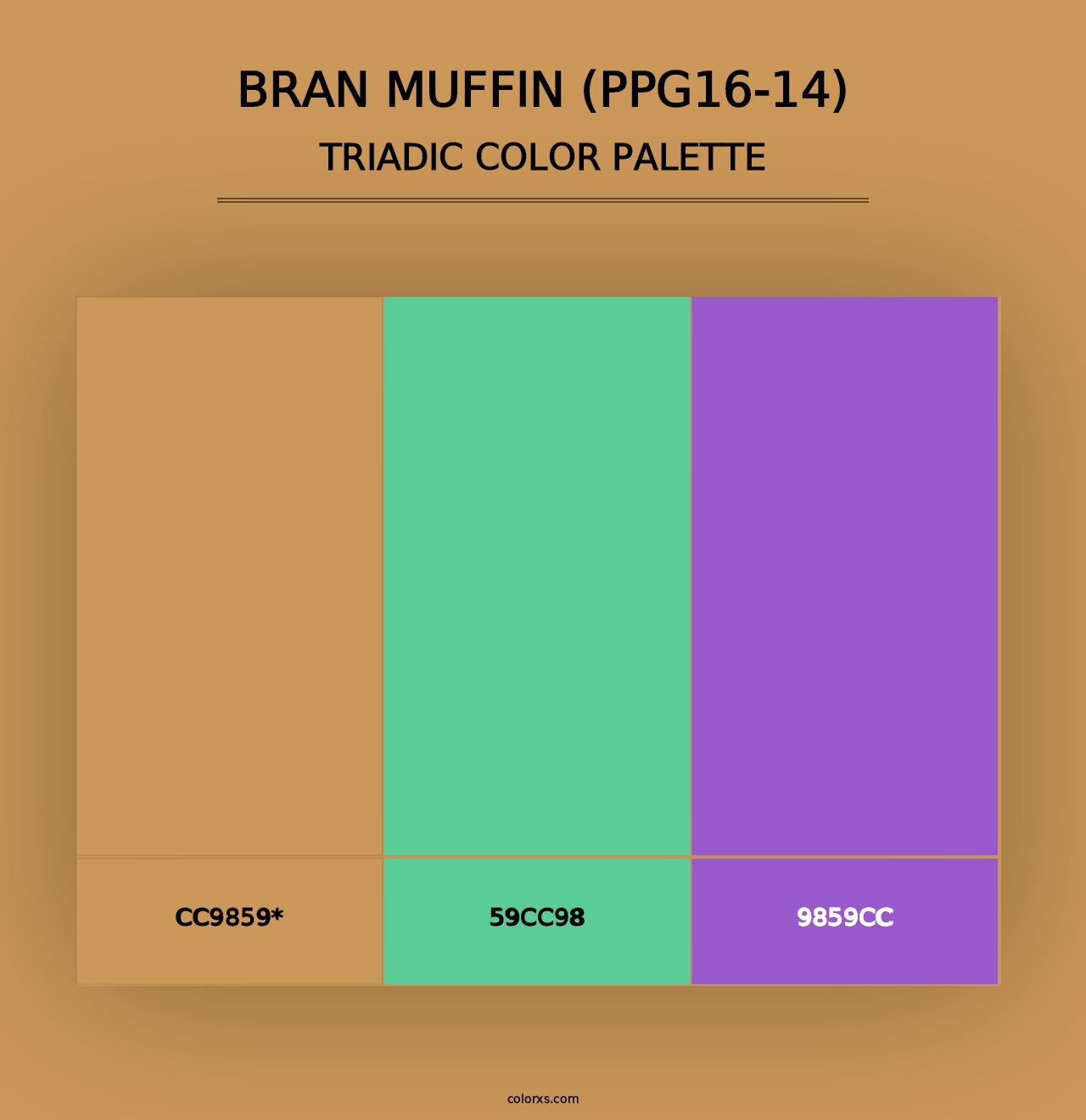 Bran Muffin (PPG16-14) - Triadic Color Palette