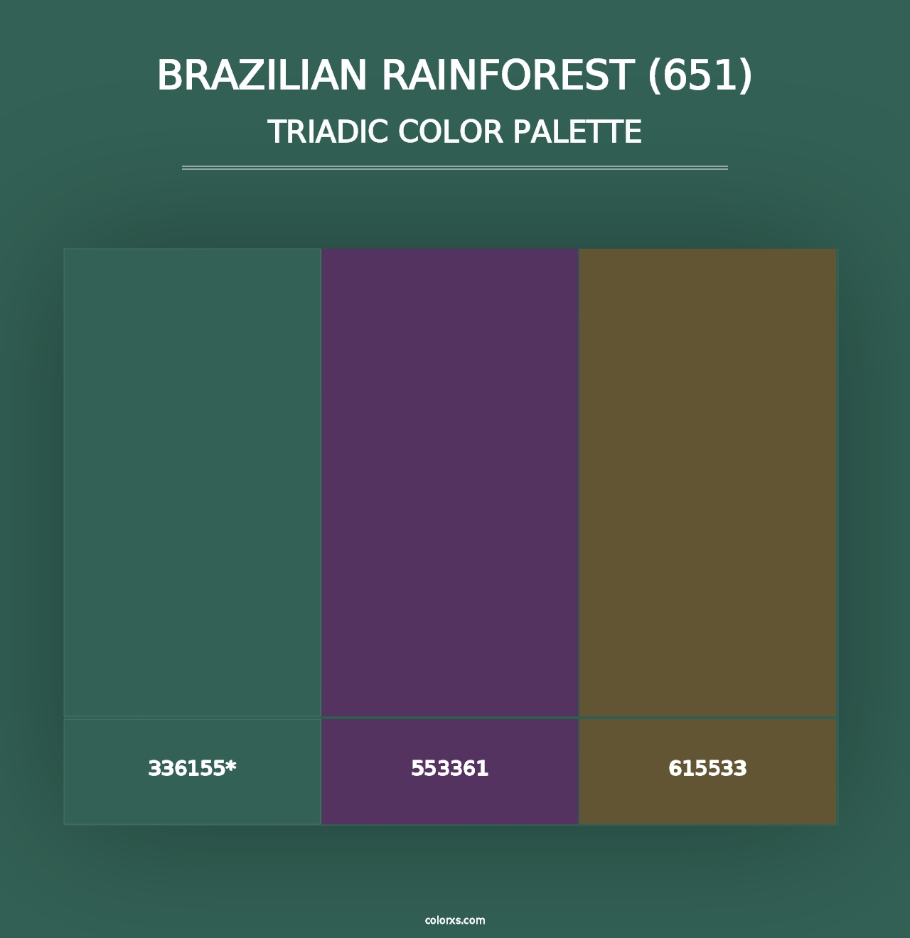 Brazilian Rainforest (651) - Triadic Color Palette