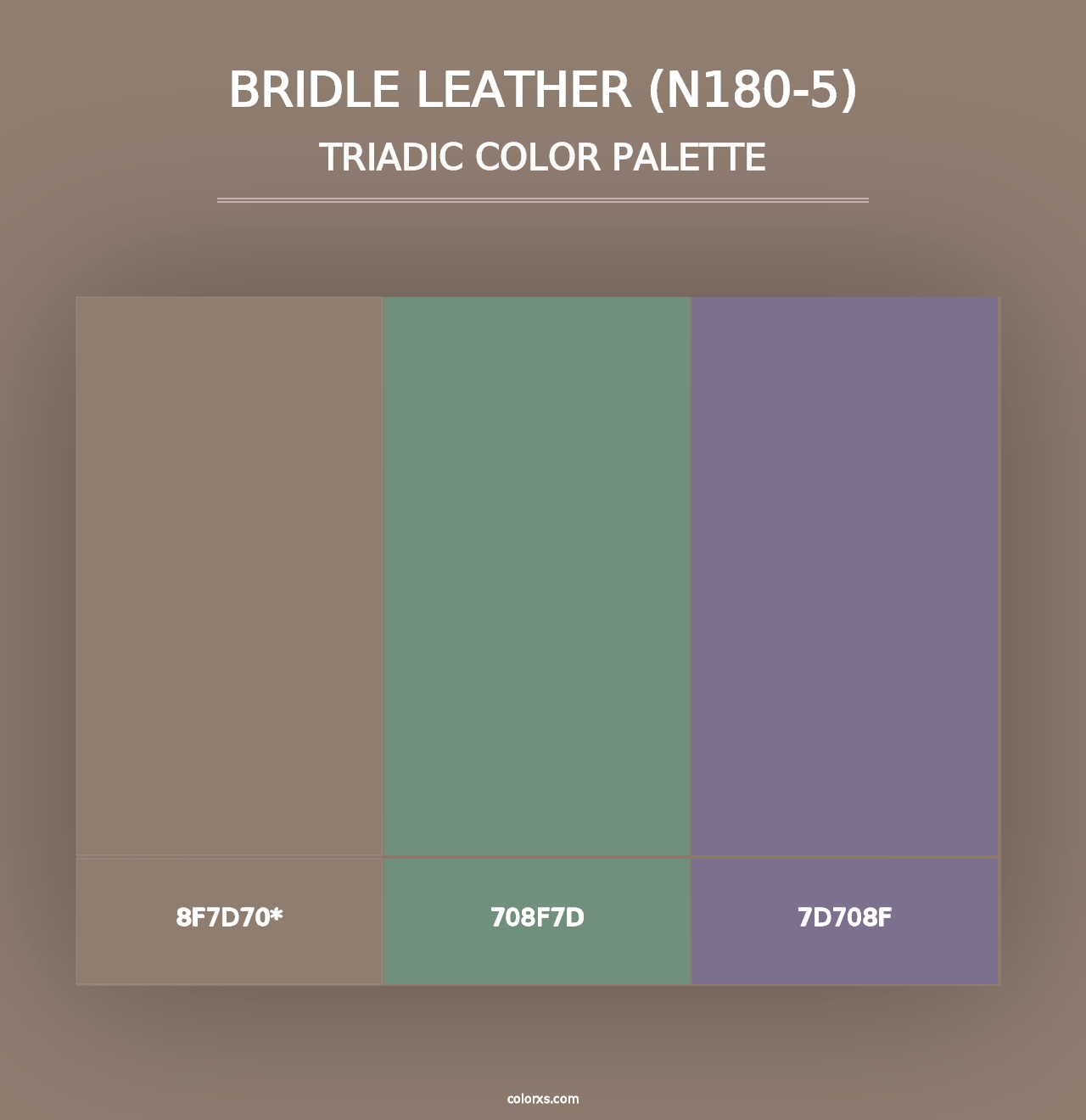 Bridle Leather (N180-5) - Triadic Color Palette