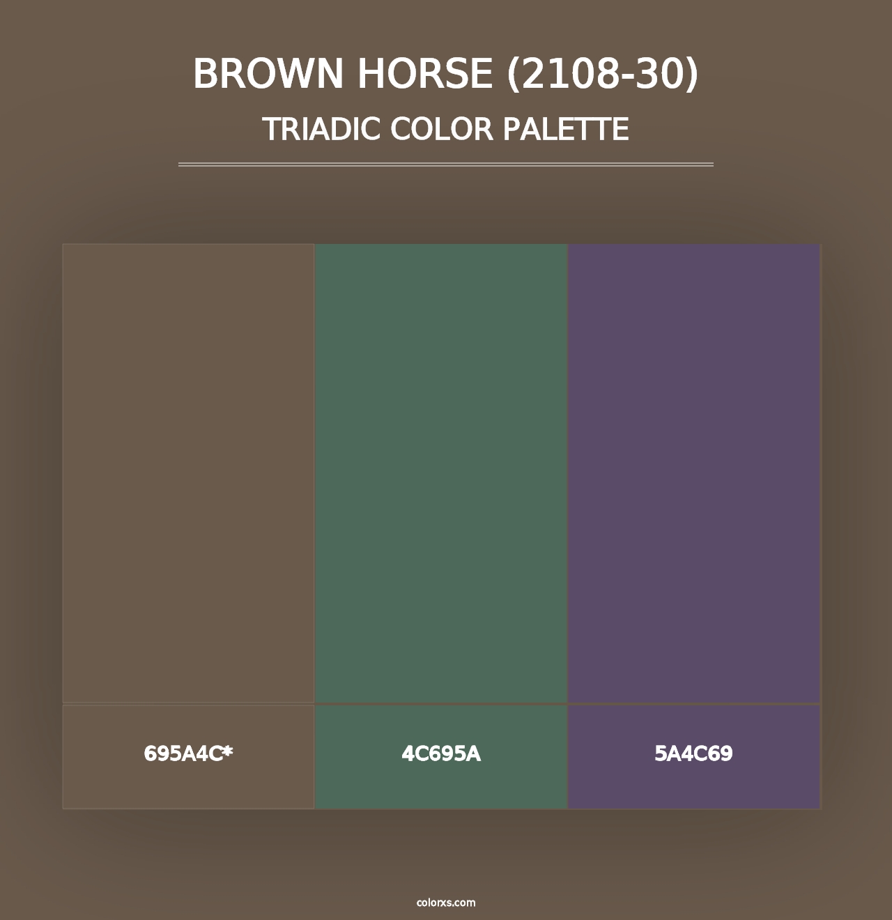 Brown Horse (2108-30) - Triadic Color Palette