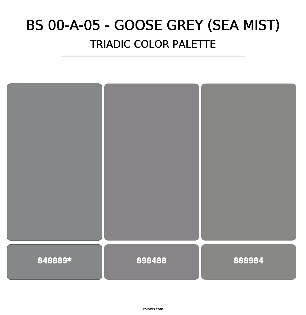 BS 00-A-05 - Goose Grey (Sea Mist) - Triadic Color Palette