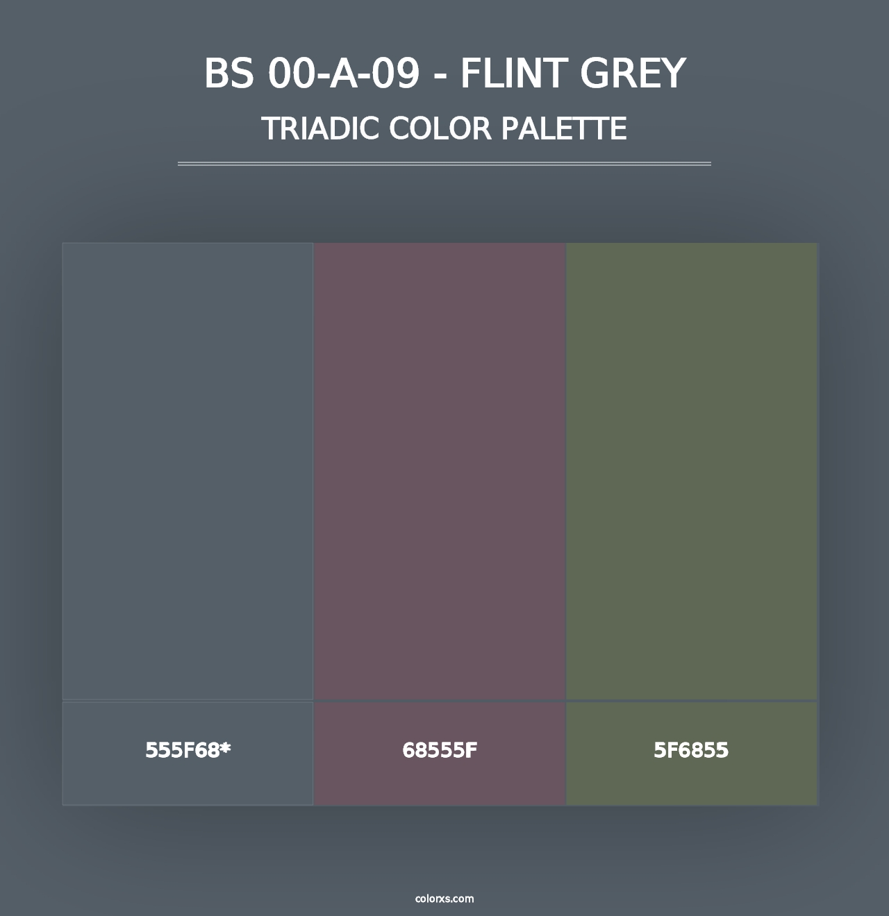 BS 00-A-09 - Flint Grey - Triadic Color Palette