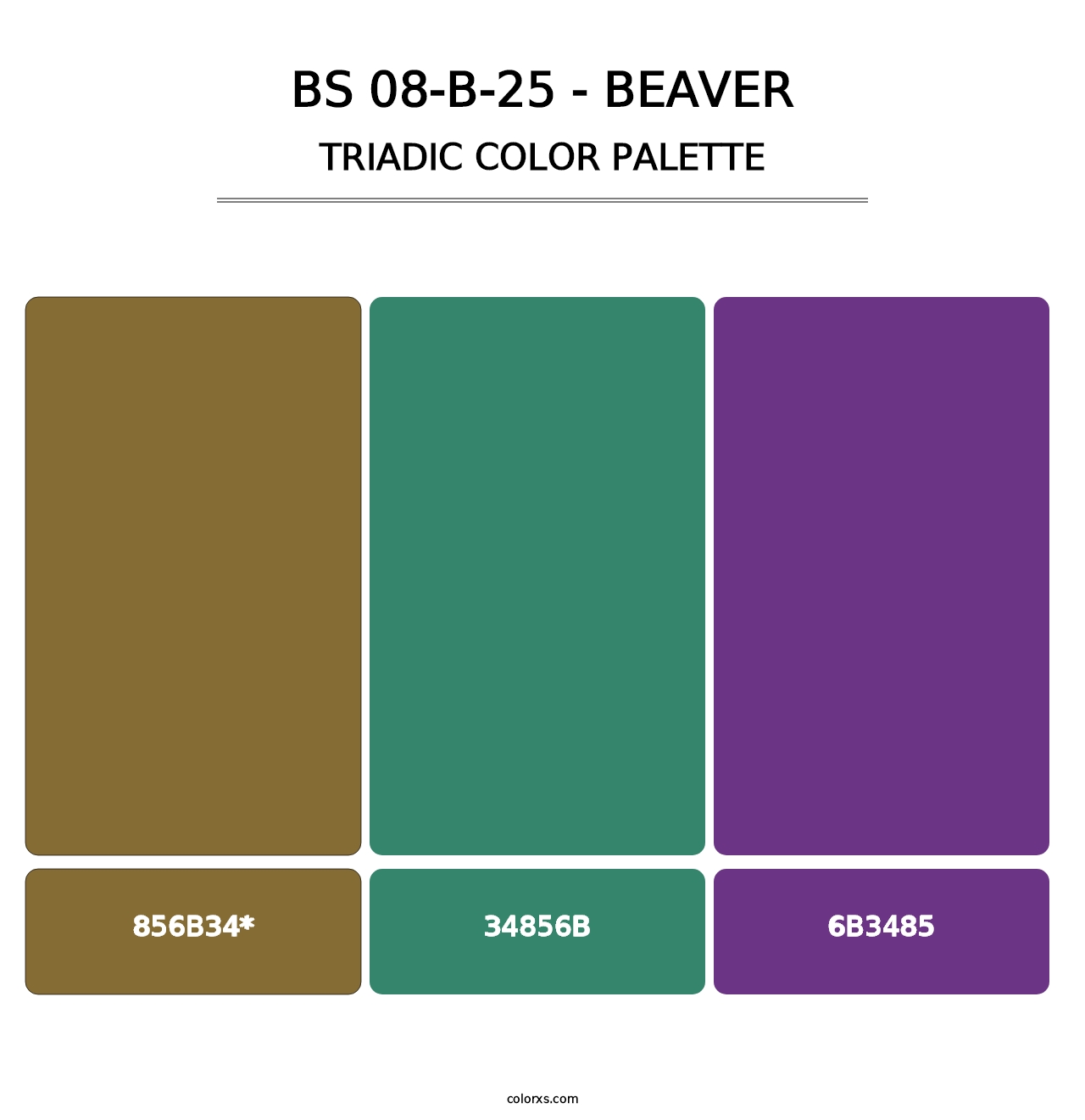 BS 08-B-25 - Beaver - Triadic Color Palette