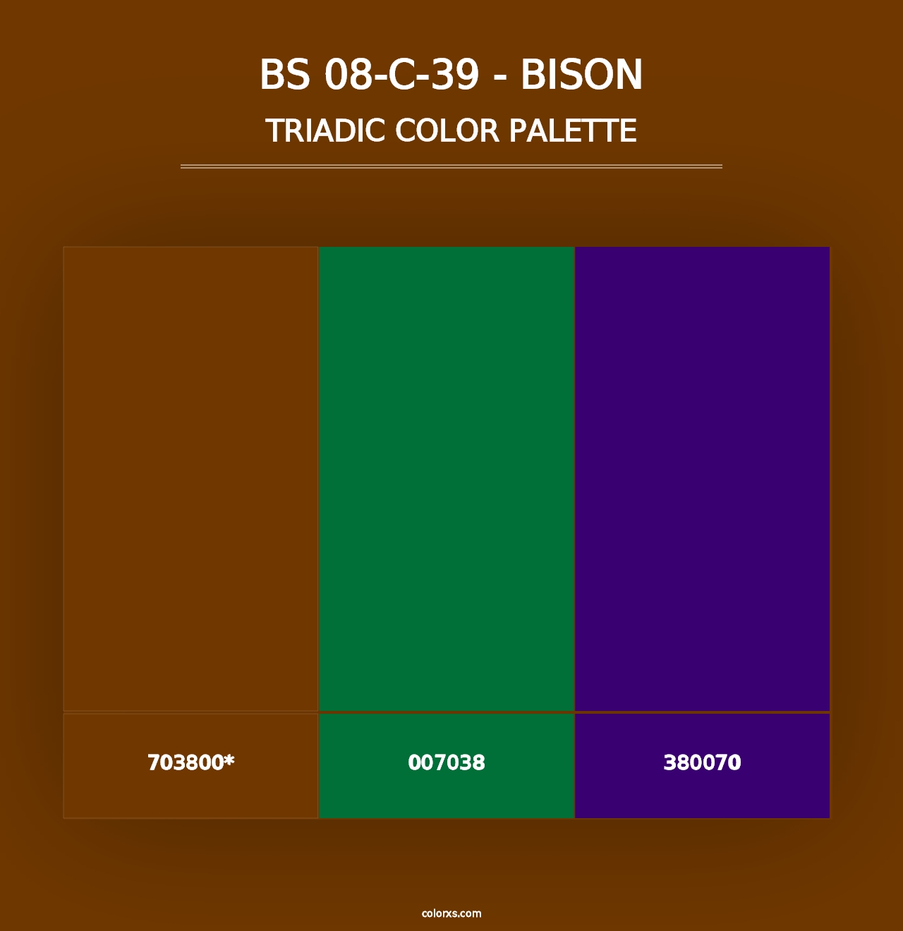 BS 08-C-39 - Bison - Triadic Color Palette