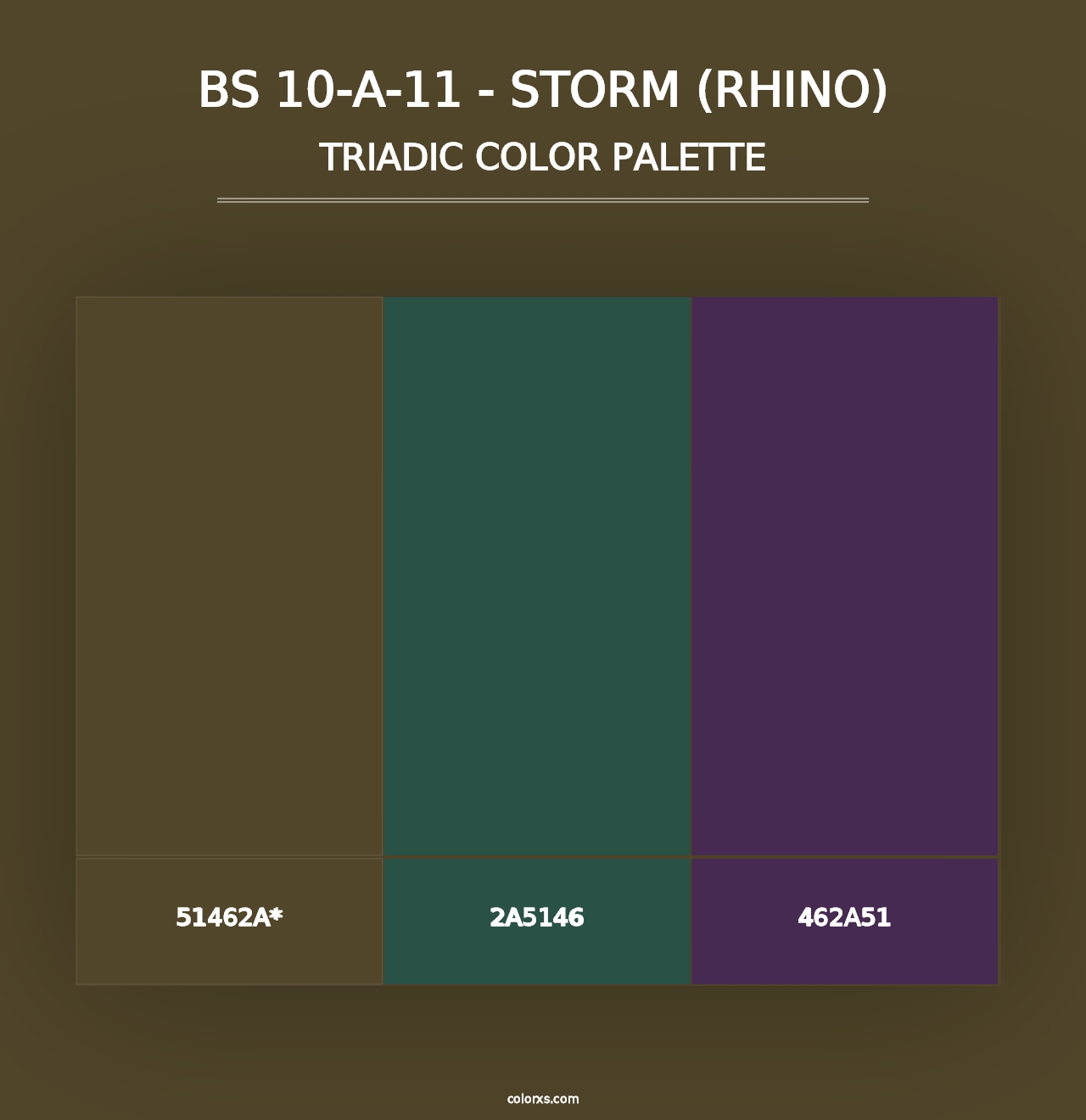 BS 10-A-11 - Storm (Rhino) - Triadic Color Palette