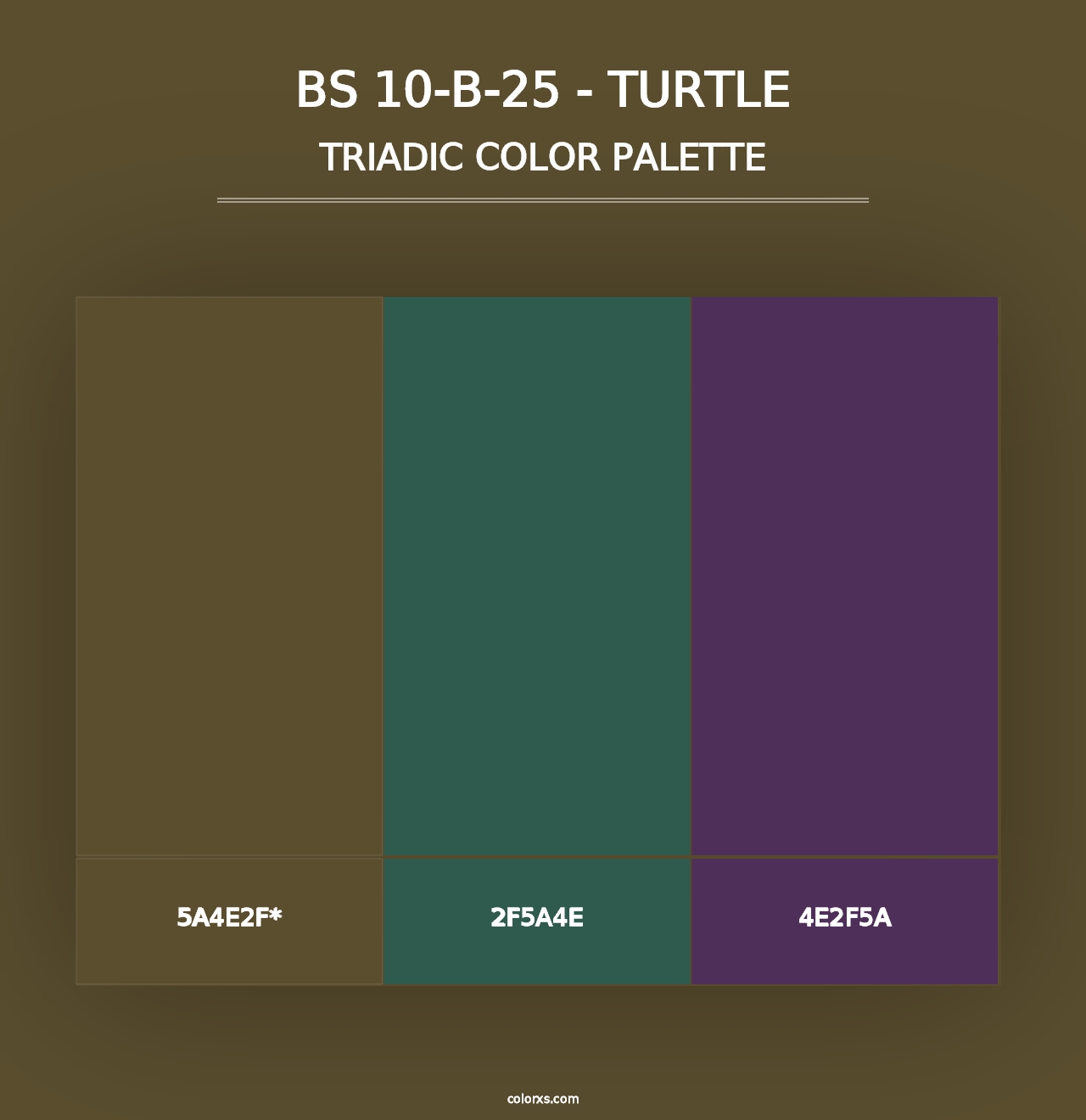 BS 10-B-25 - Turtle - Triadic Color Palette