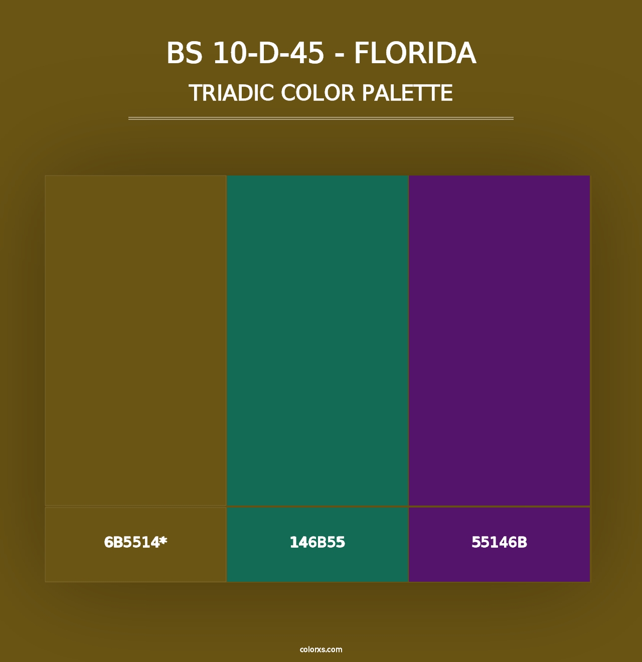 BS 10-D-45 - Florida - Triadic Color Palette