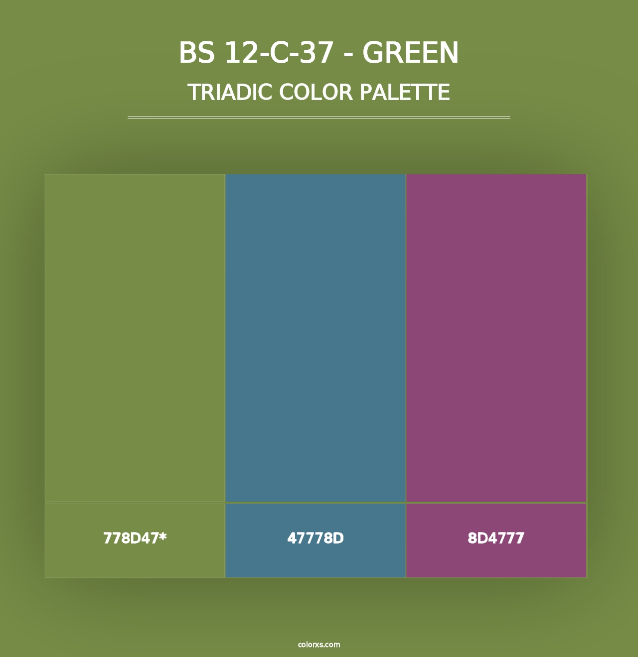 BS 12-C-37 - Green - Triadic Color Palette