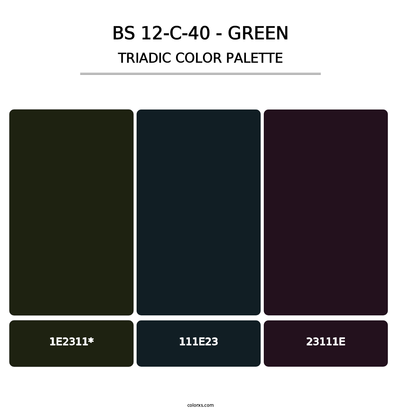 BS 12-C-40 - Green - Triadic Color Palette