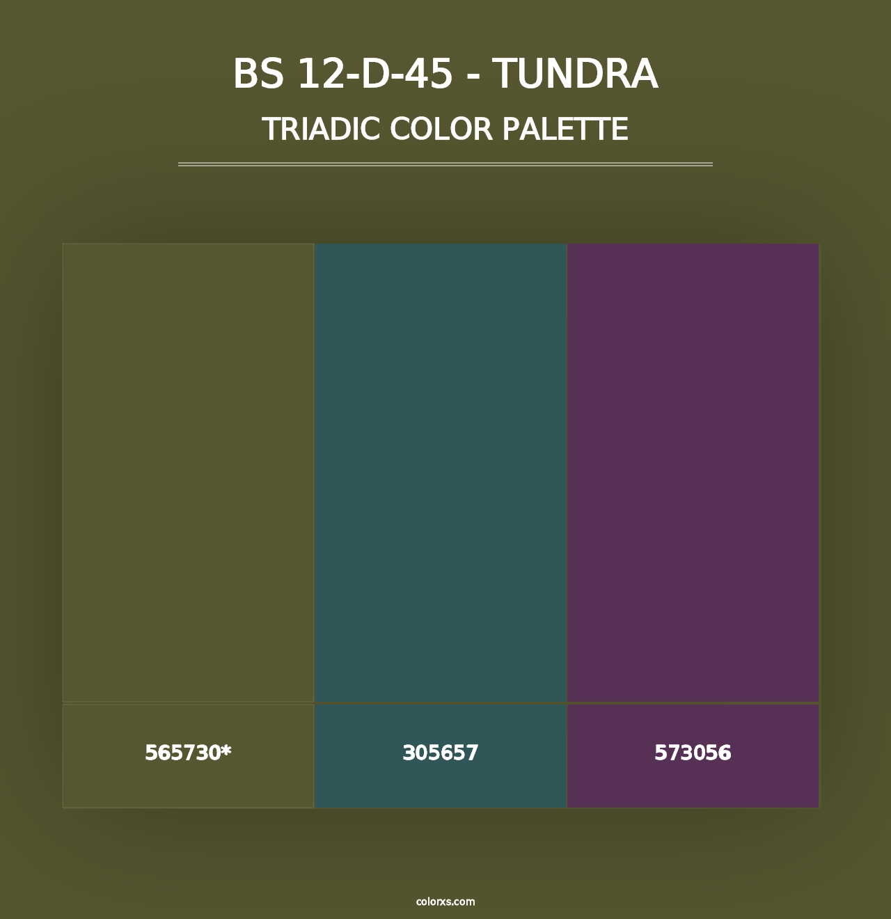 BS 12-D-45 - Tundra - Triadic Color Palette