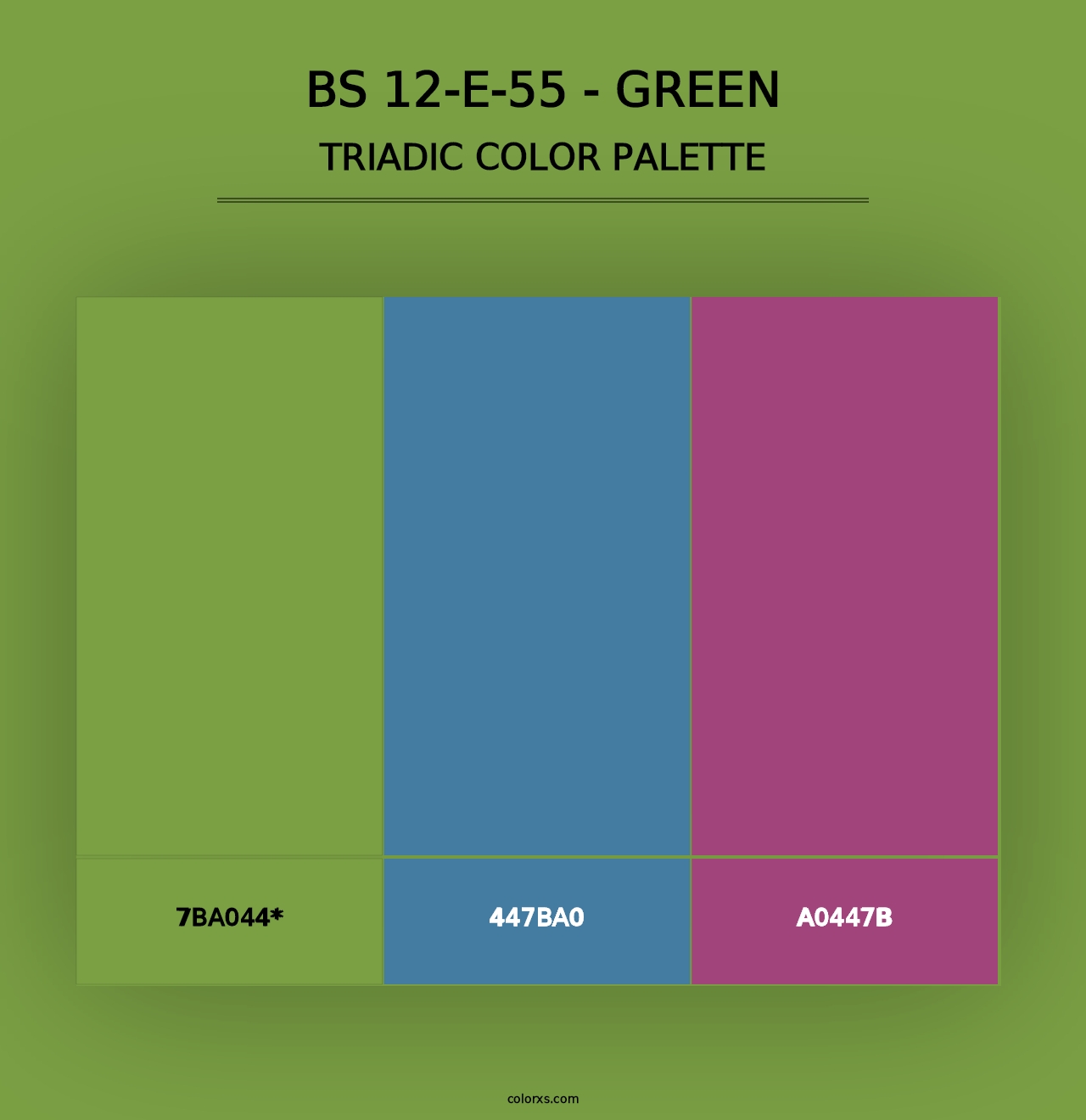 BS 12-E-55 - Green - Triadic Color Palette