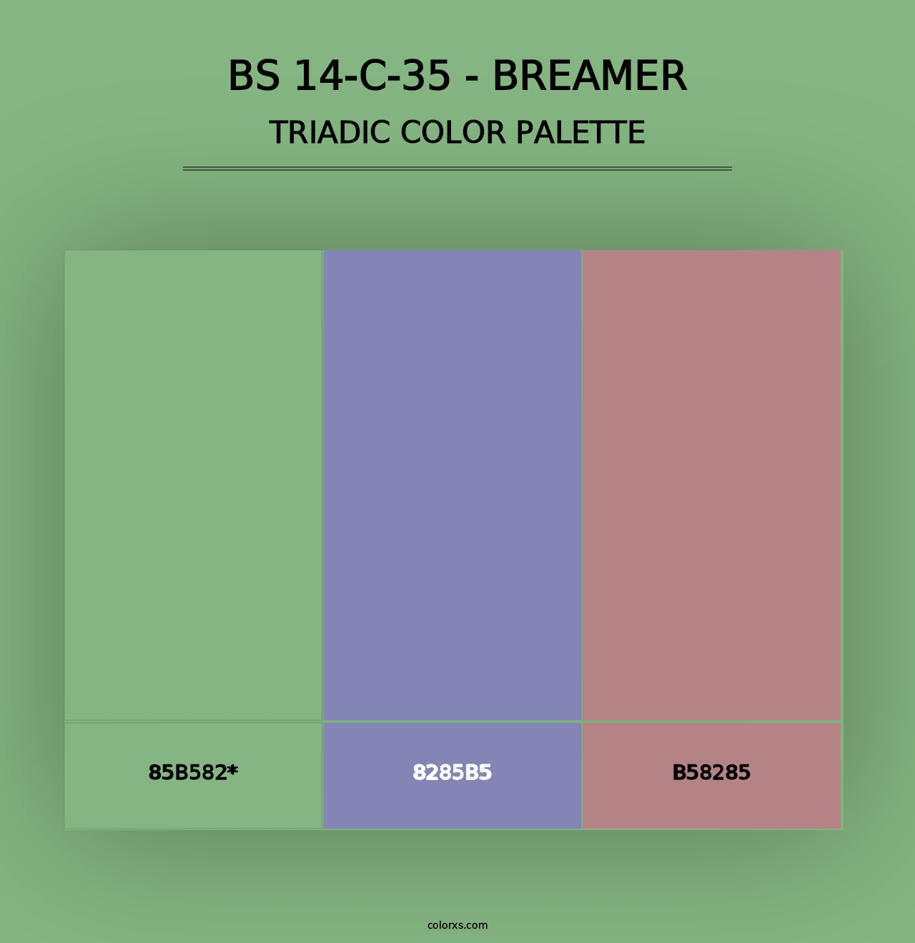 BS 14-C-35 - Breamer - Triadic Color Palette