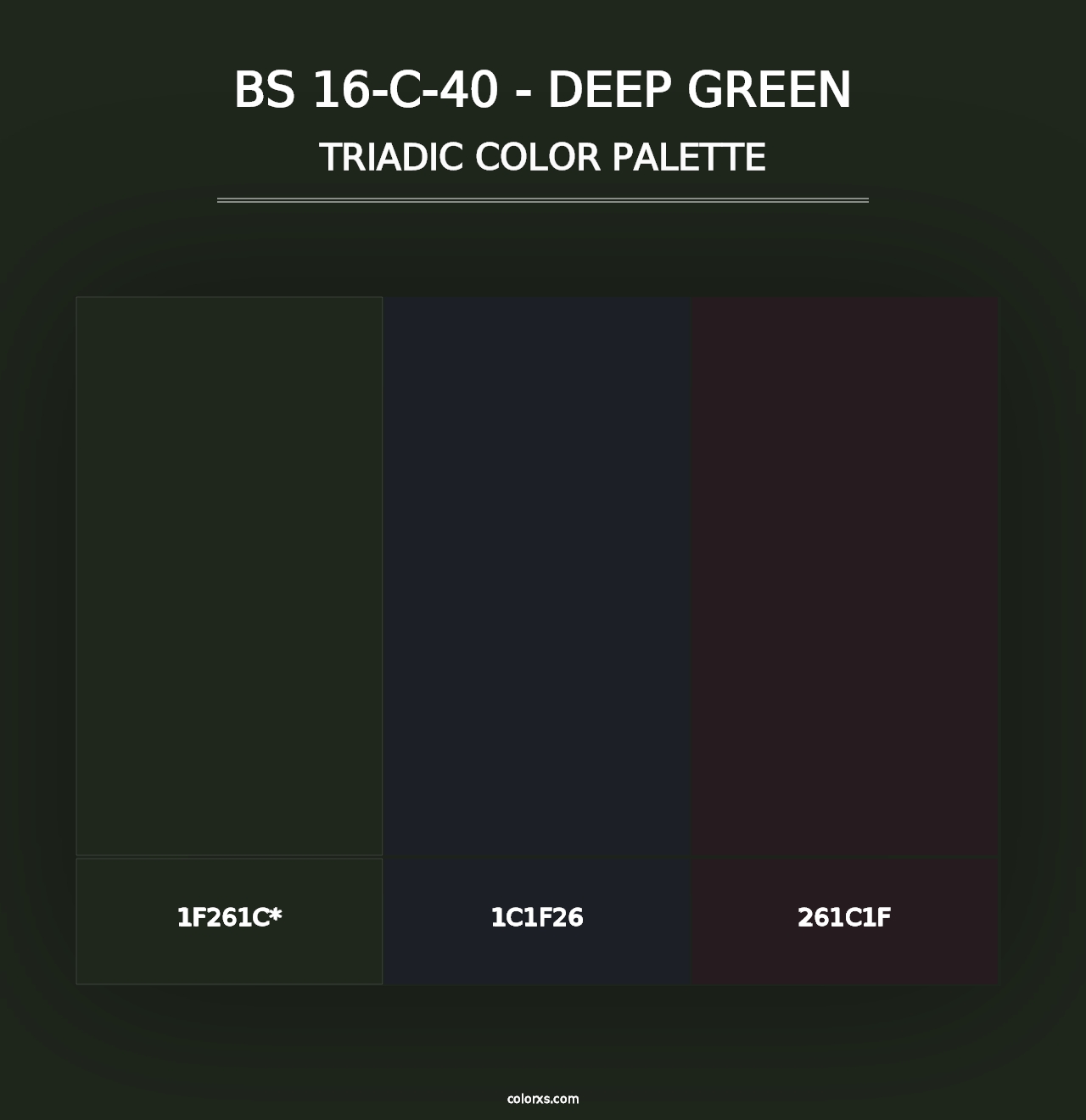 BS 16-C-40 - Deep Green - Triadic Color Palette