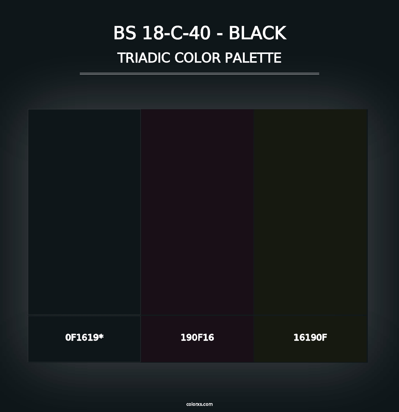 BS 18-C-40 - Black - Triadic Color Palette