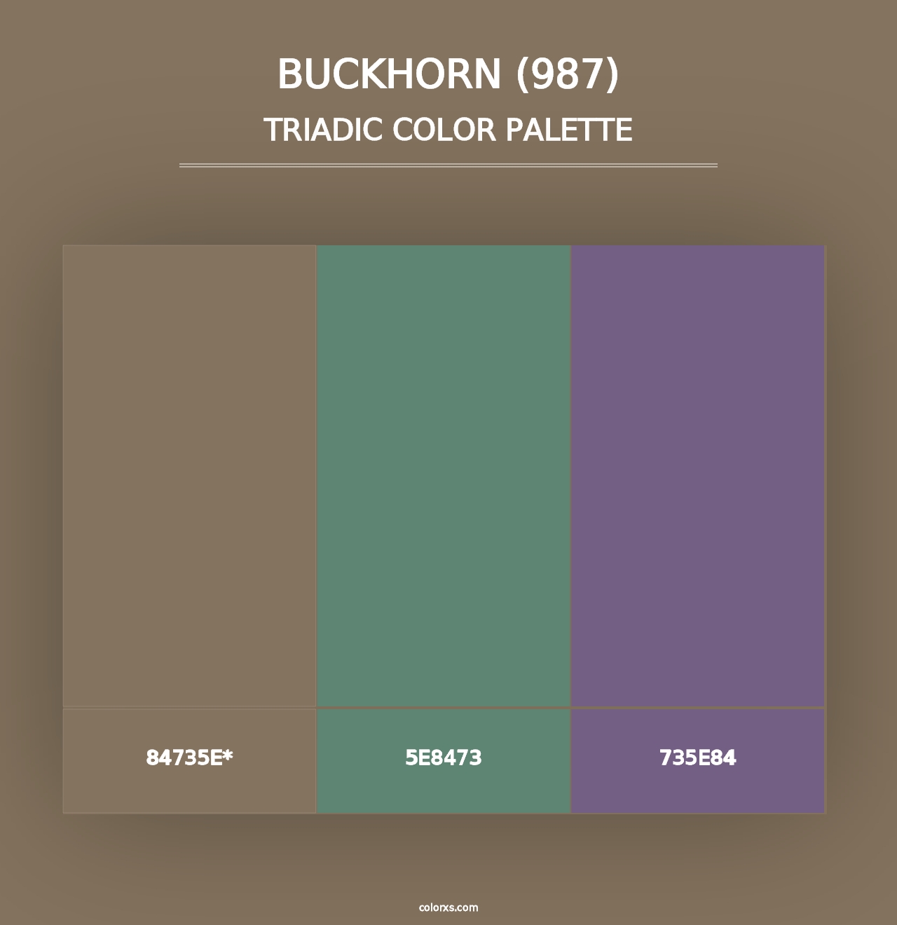 Buckhorn (987) - Triadic Color Palette