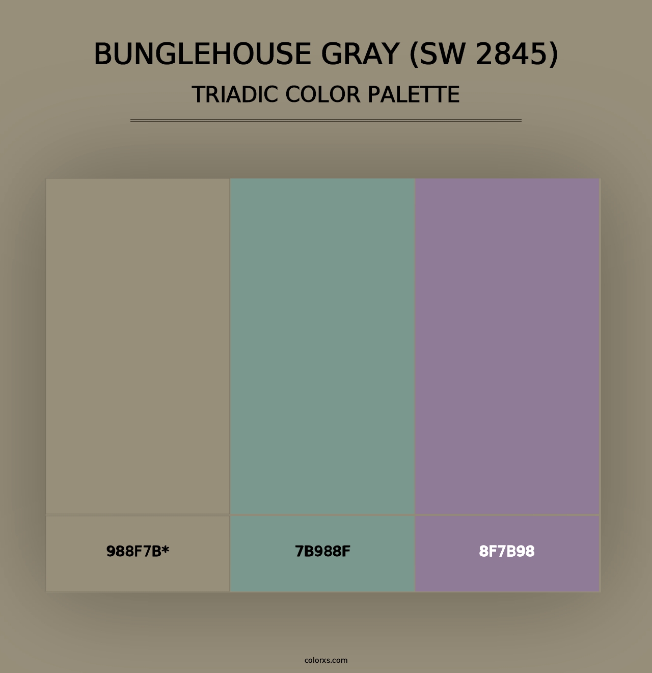 Bunglehouse Gray (SW 2845) - Triadic Color Palette