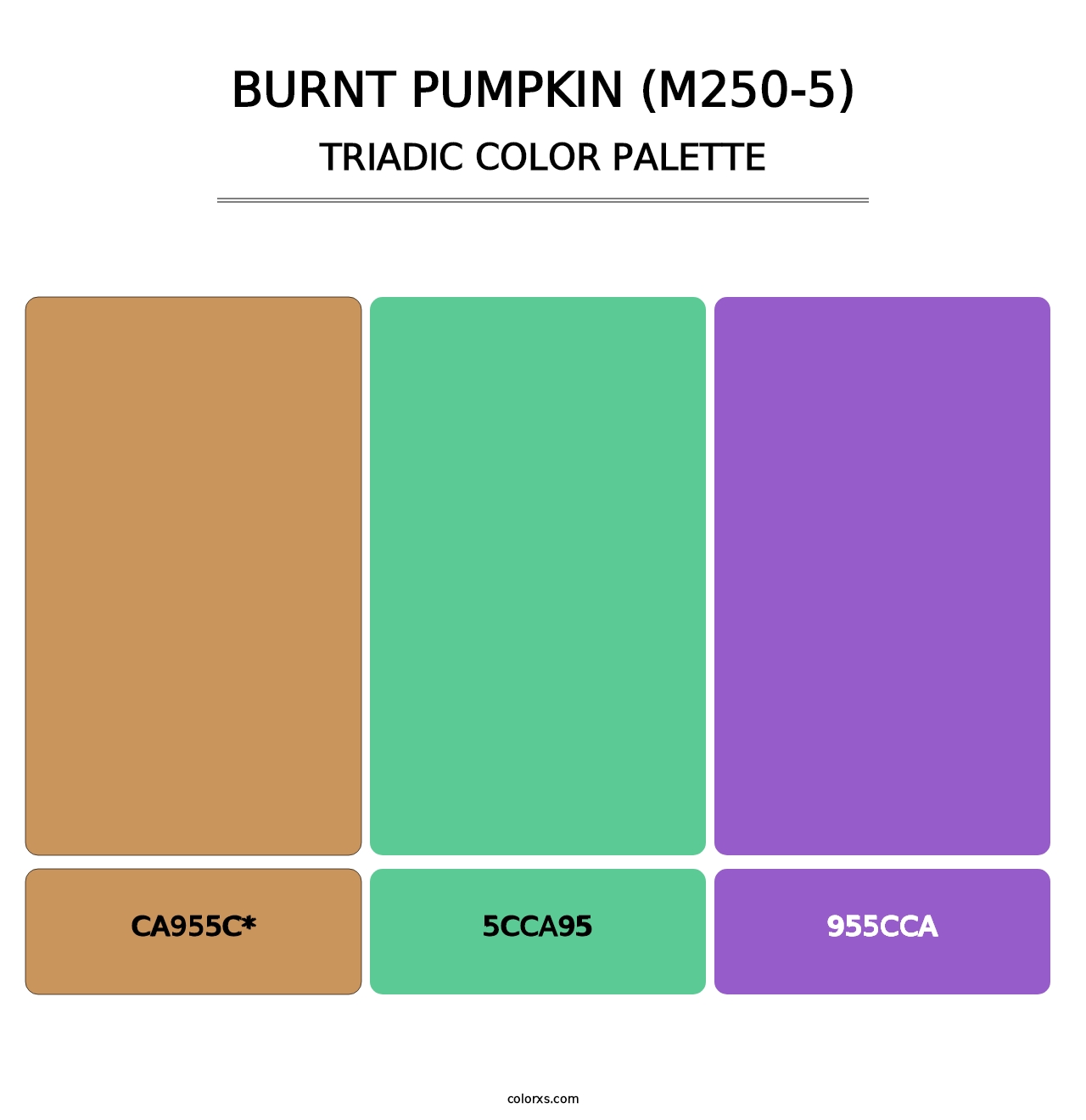 Burnt Pumpkin (M250-5) - Triadic Color Palette