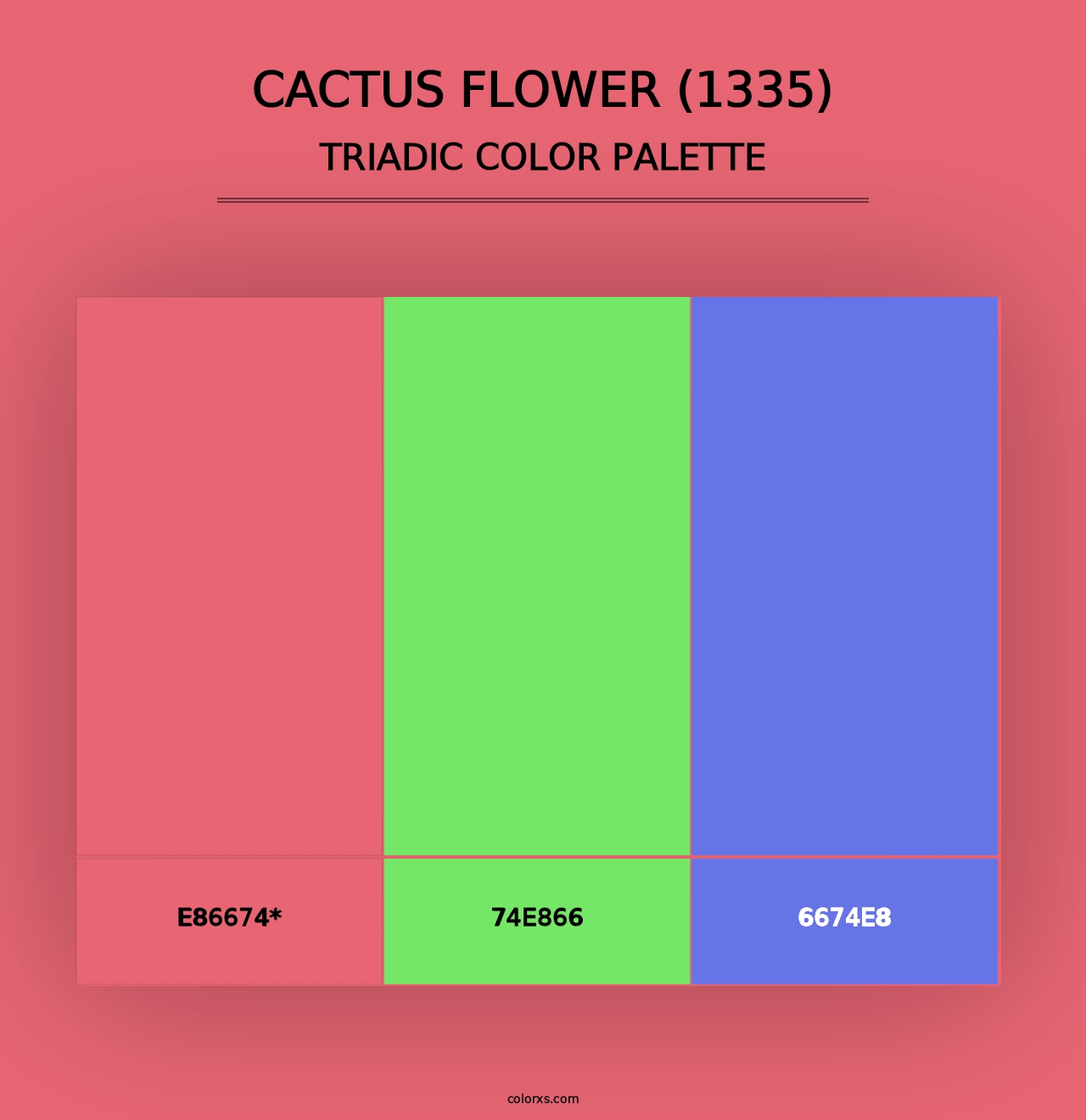 Cactus Flower (1335) - Triadic Color Palette