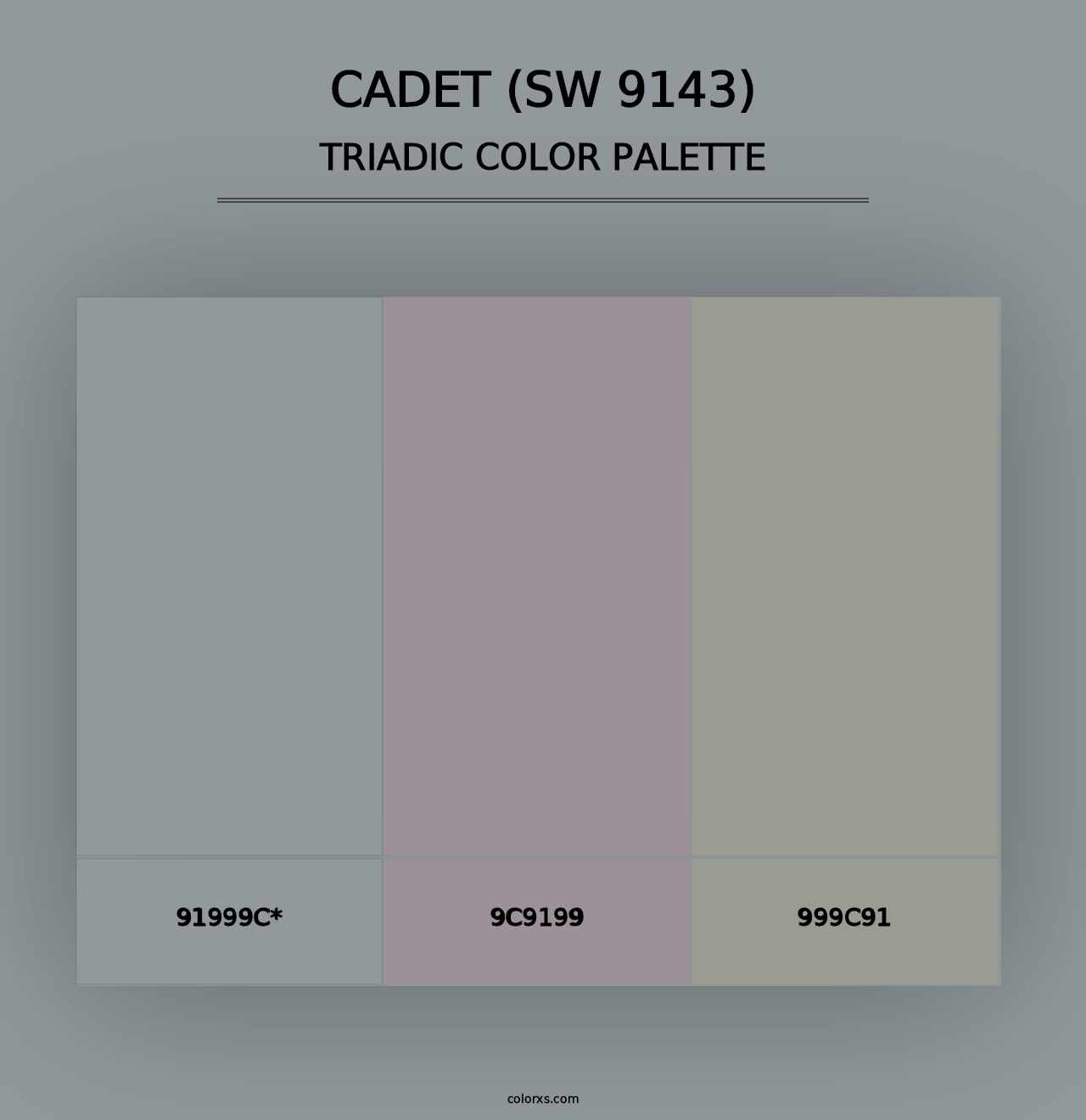 Cadet (SW 9143) - Triadic Color Palette