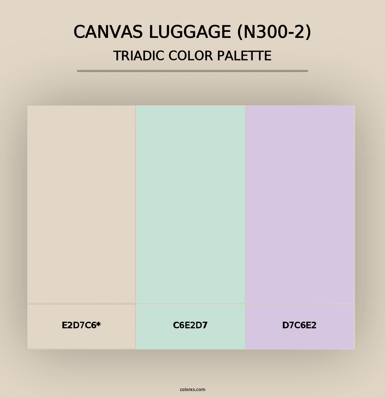 Canvas Luggage (N300-2) - Triadic Color Palette