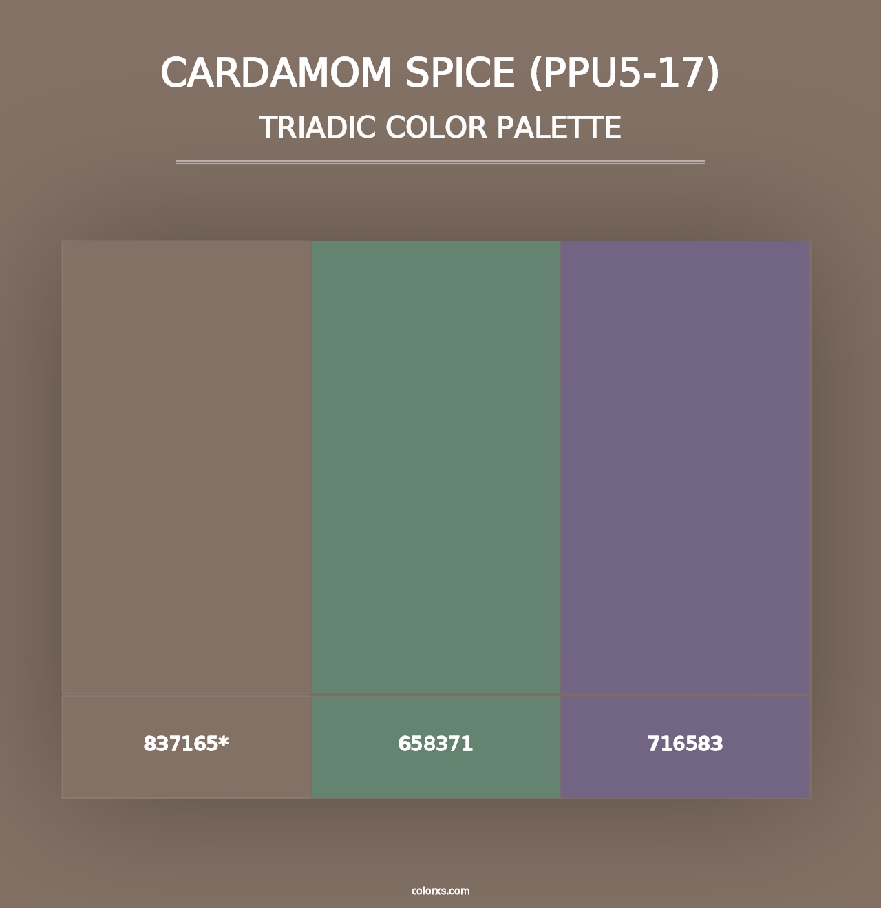 Cardamom Spice (PPU5-17) - Triadic Color Palette