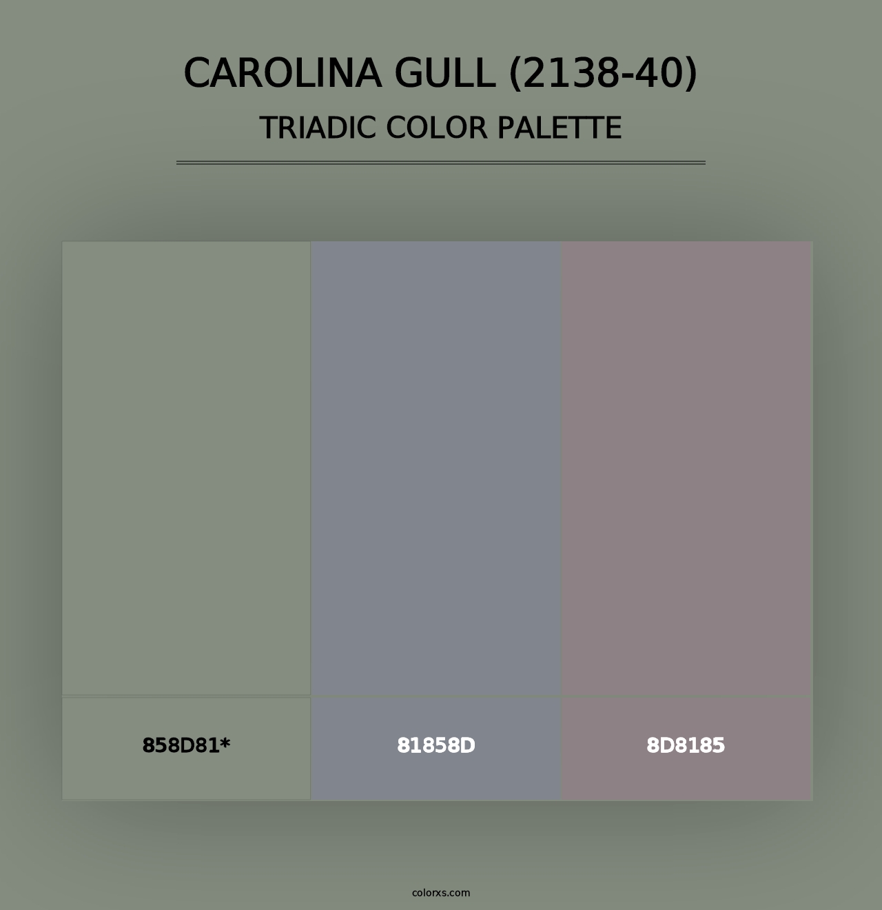 Carolina Gull (2138-40) - Triadic Color Palette