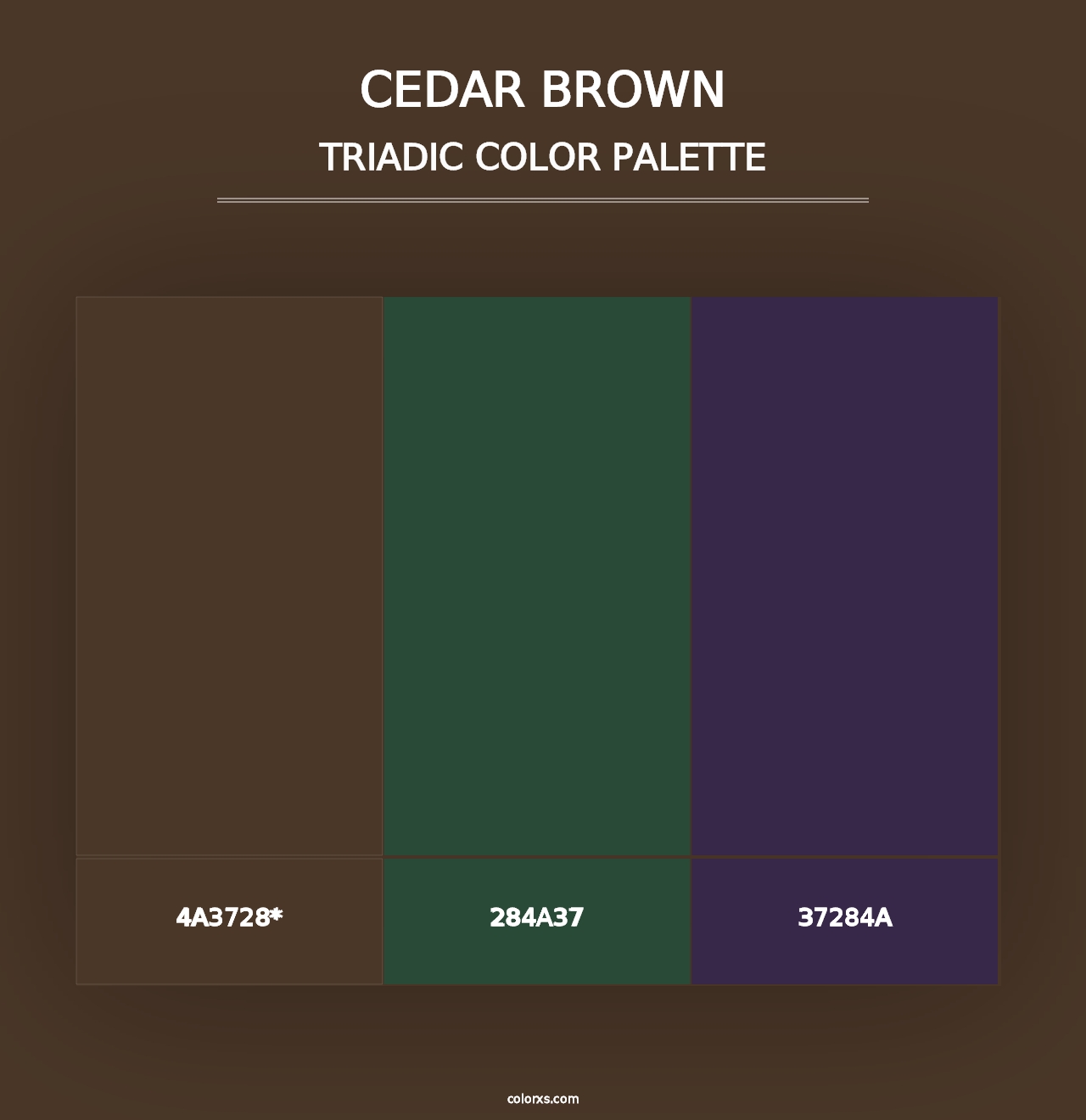 Cedar Brown - Triadic Color Palette