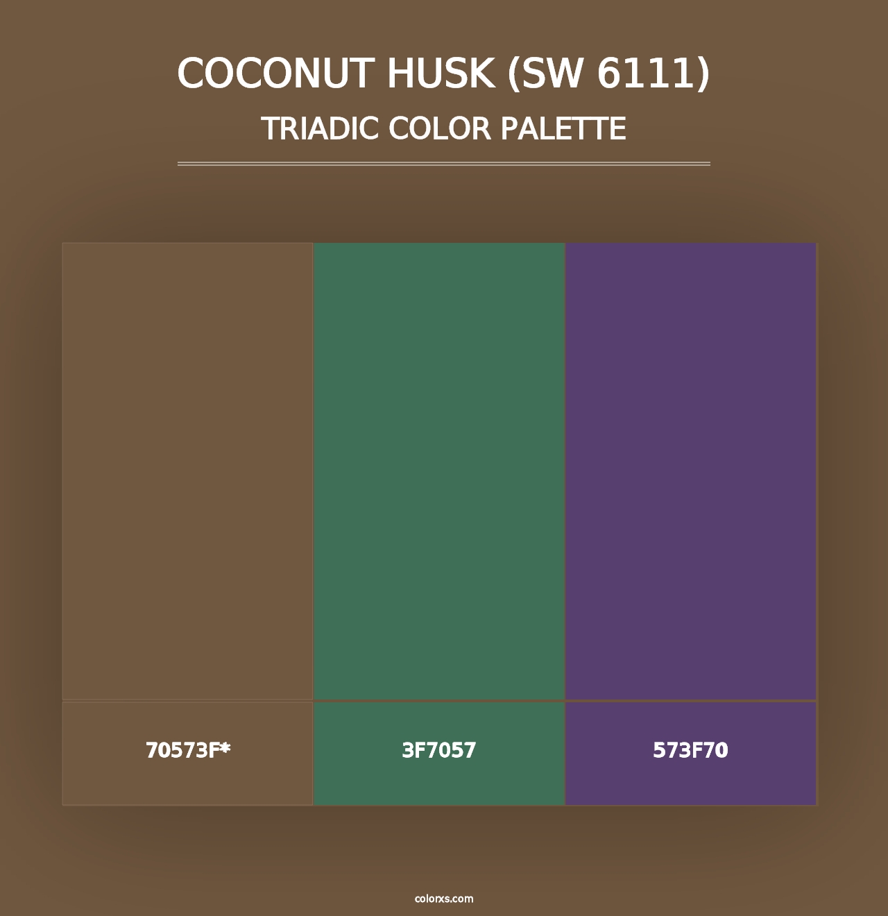 Coconut Husk (SW 6111) - Triadic Color Palette