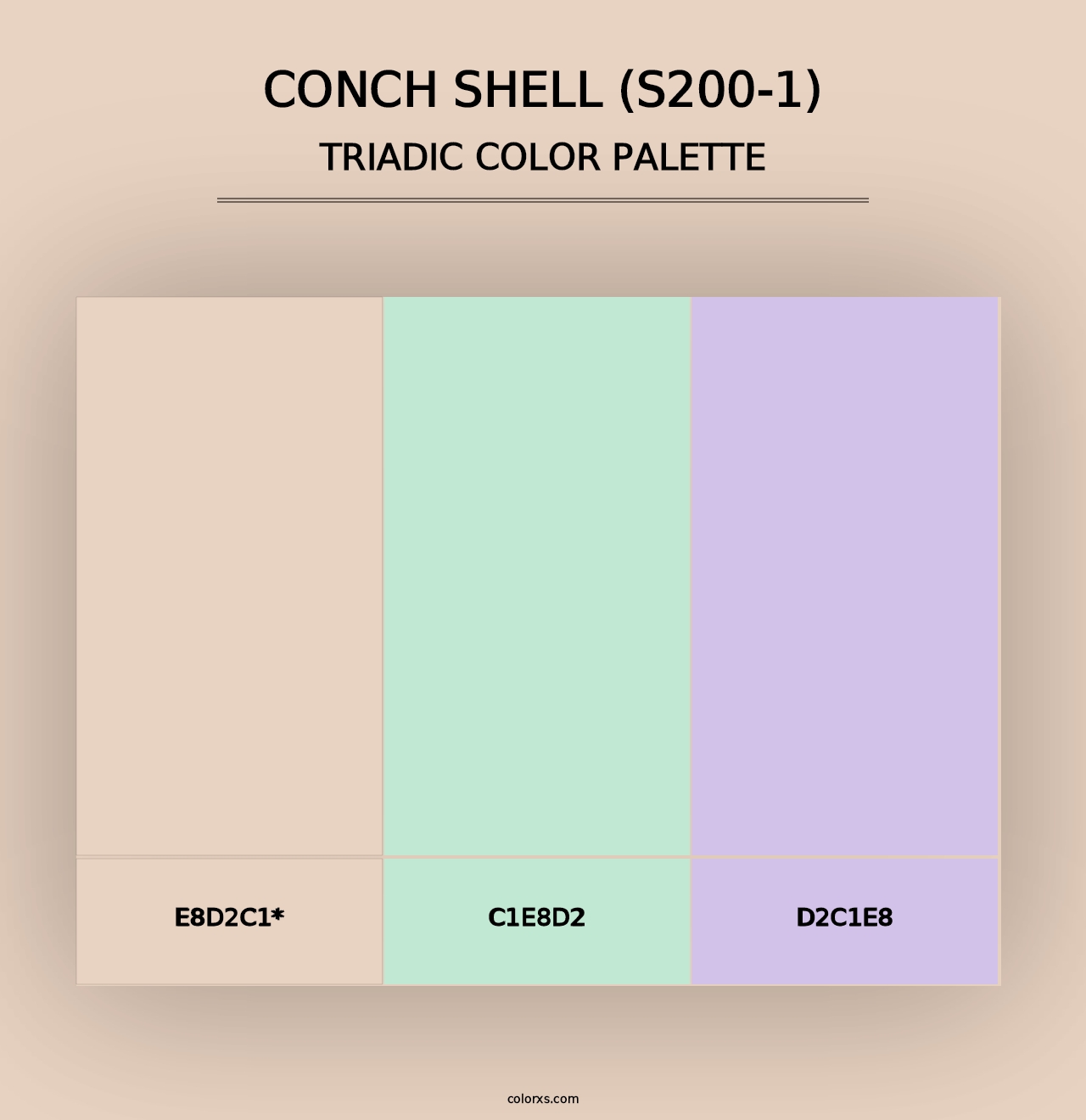 Conch Shell (S200-1) - Triadic Color Palette