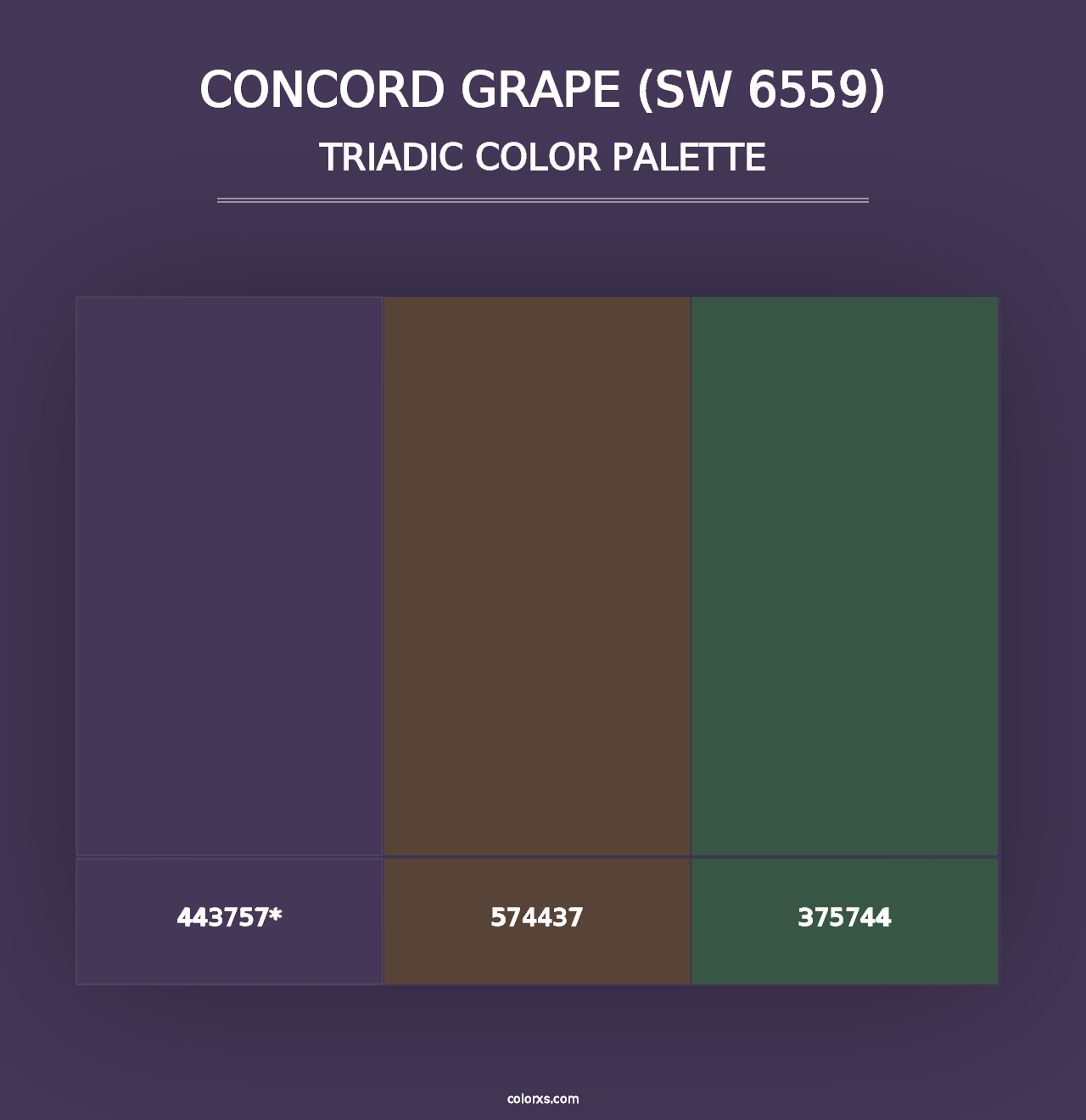 Concord Grape (SW 6559) - Triadic Color Palette