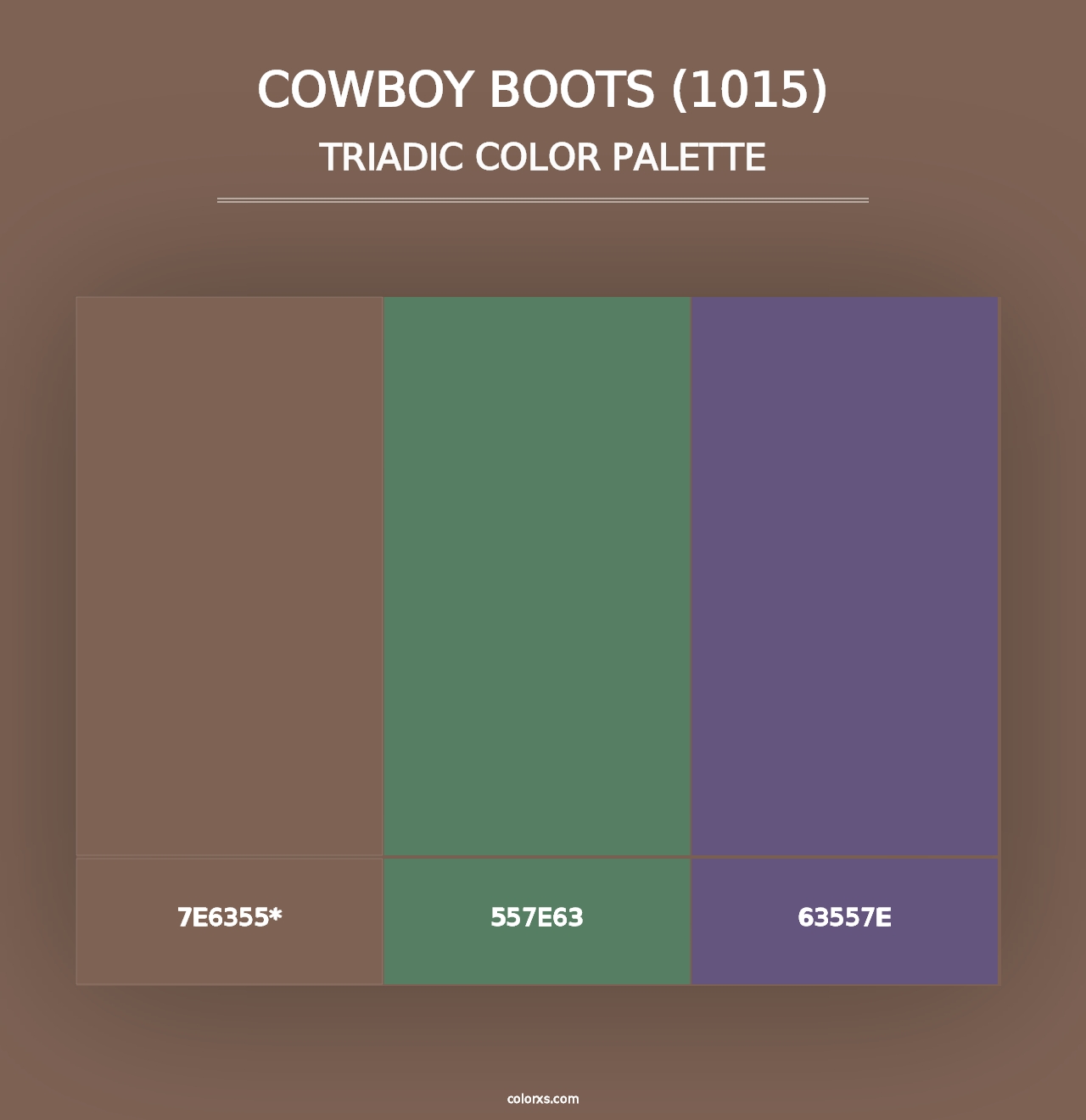 Cowboy Boots (1015) - Triadic Color Palette