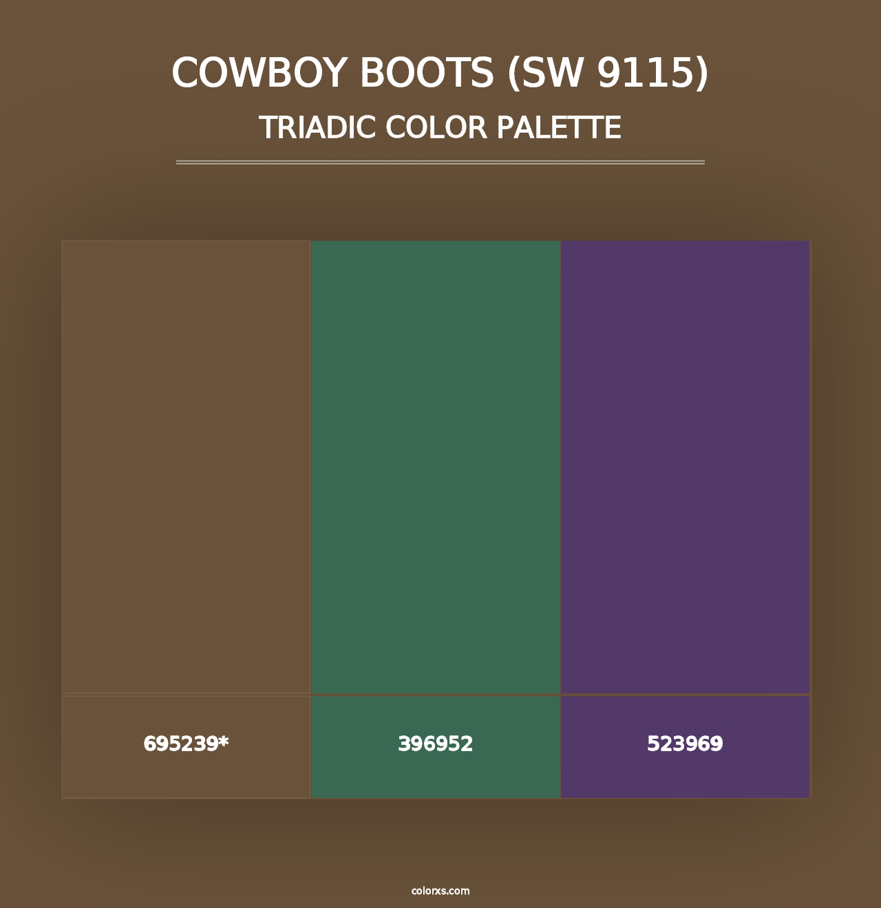 Cowboy Boots (SW 9115) - Triadic Color Palette