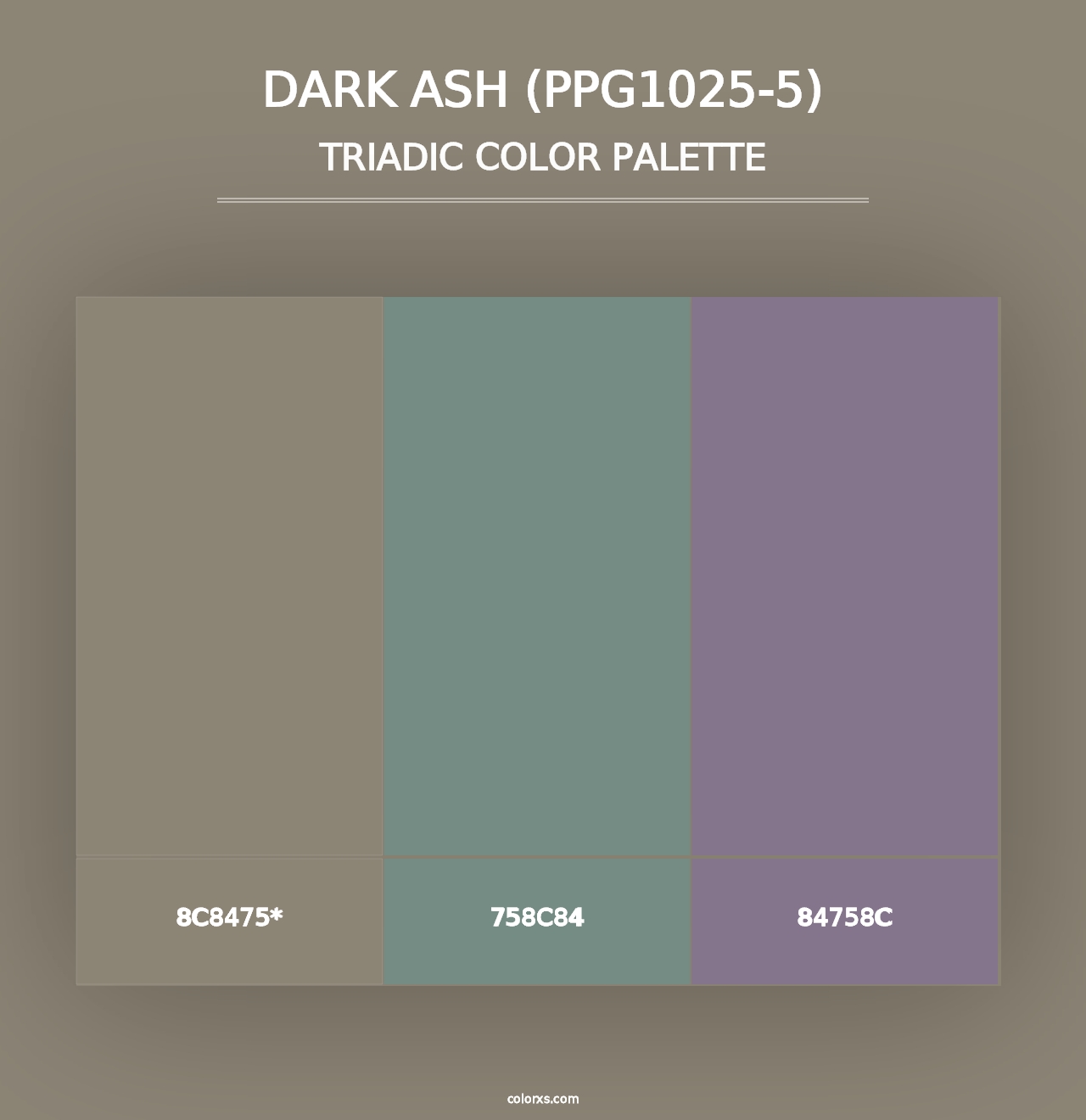 Dark Ash (PPG1025-5) - Triadic Color Palette